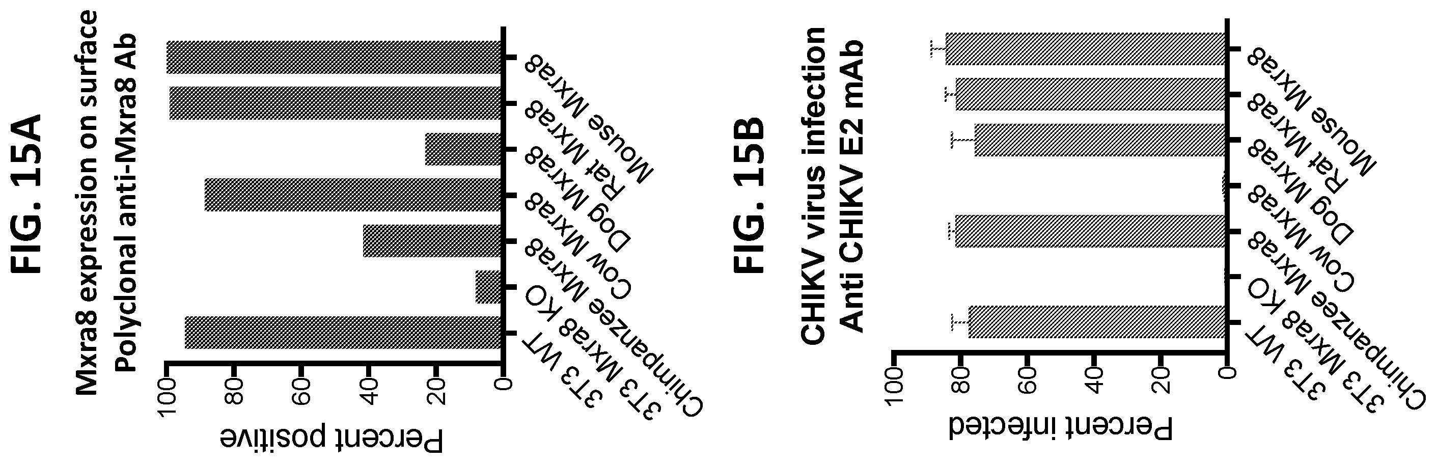 Patent US12448415 Figure 15 – Compositions and methods for inhibition of alphavirus infection