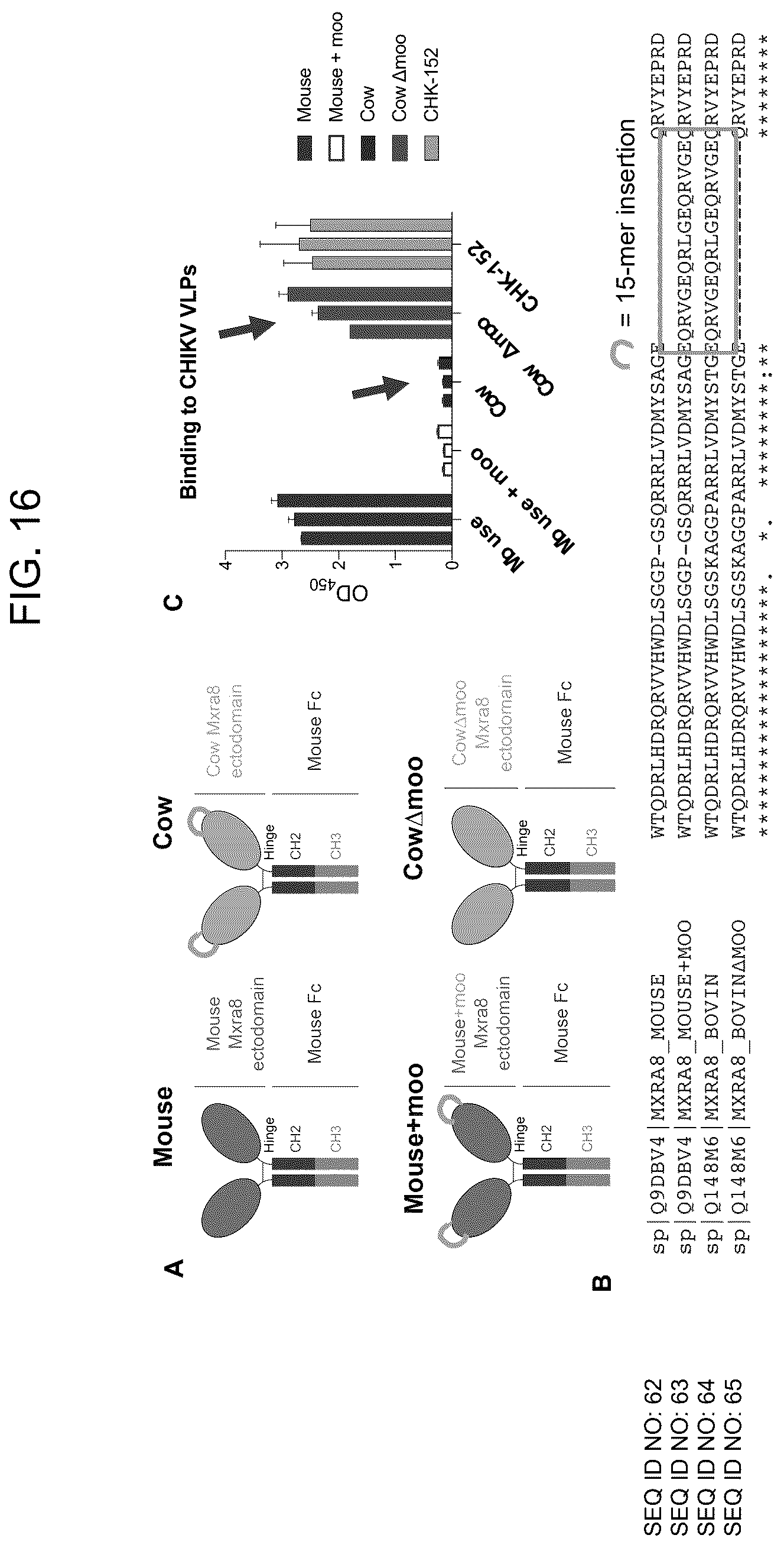 Patent US12448415 Figure 16 – Compositions and methods for inhibition of alphavirus infection