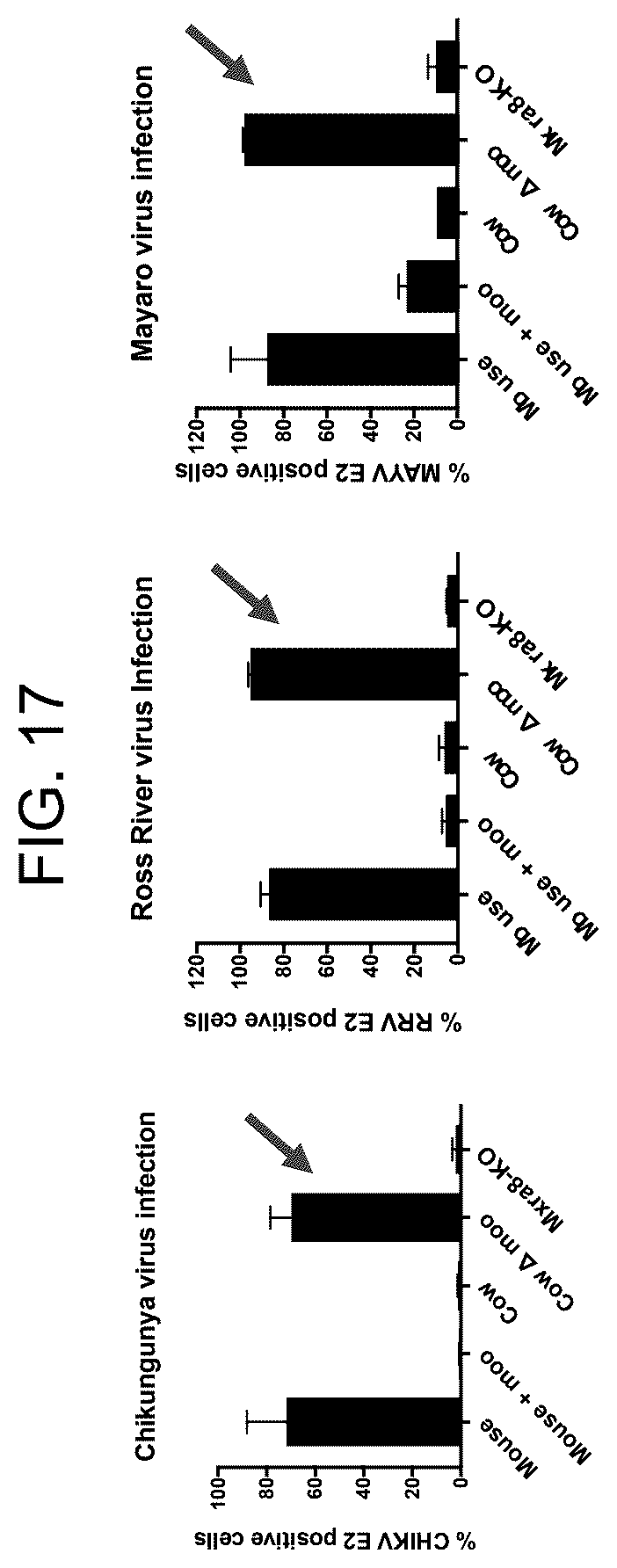 Patent US12448415 Figure 17 – Compositions and methods for inhibition of alphavirus infection