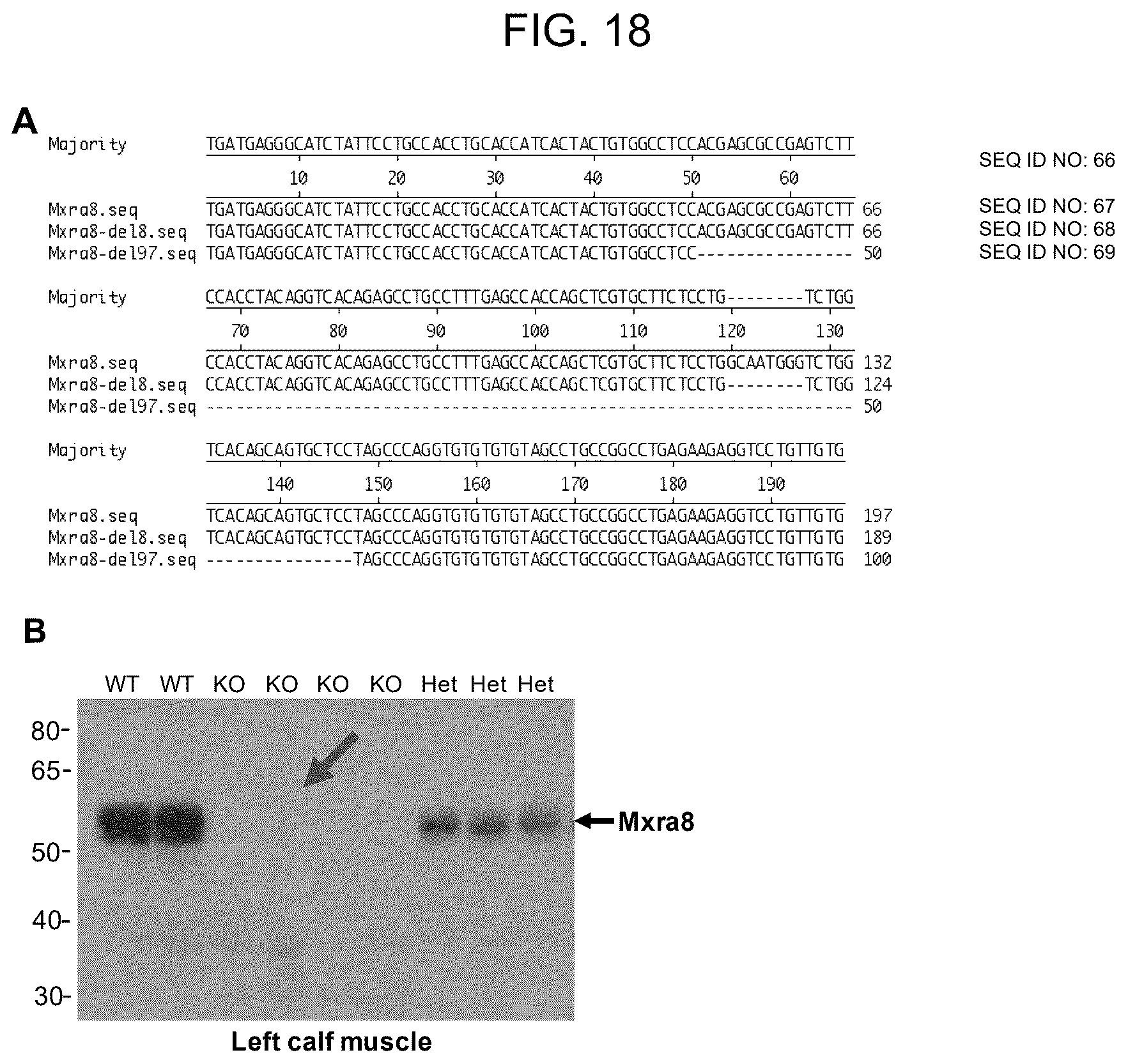 Patent US12448415 Figure 18 – Compositions and methods for inhibition of alphavirus infection