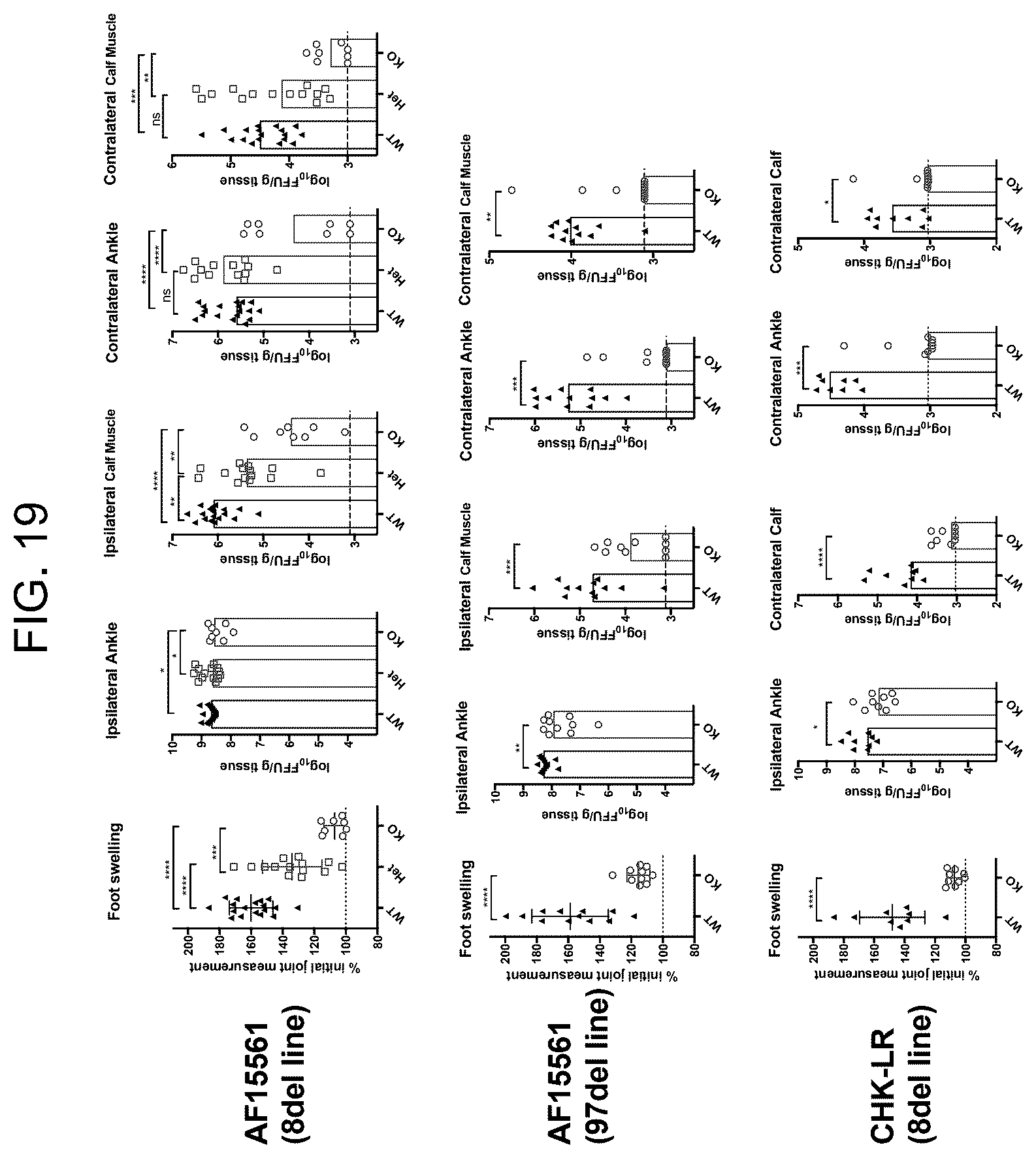 Patent US12448415 Figure 19 – Compositions and methods for inhibition of alphavirus infection