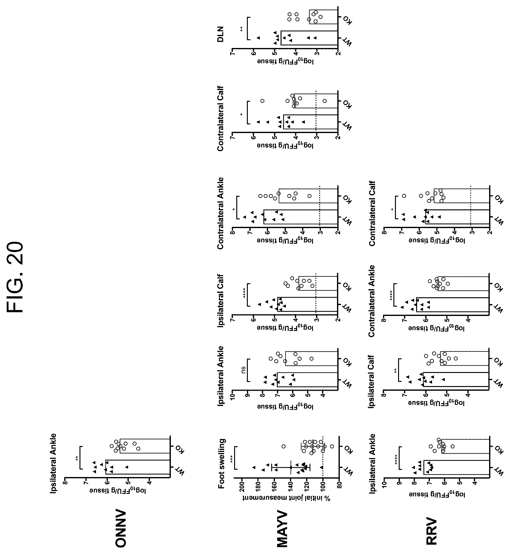 Patent US12448415 Figure 20 – Compositions and methods for inhibition of alphavirus infection