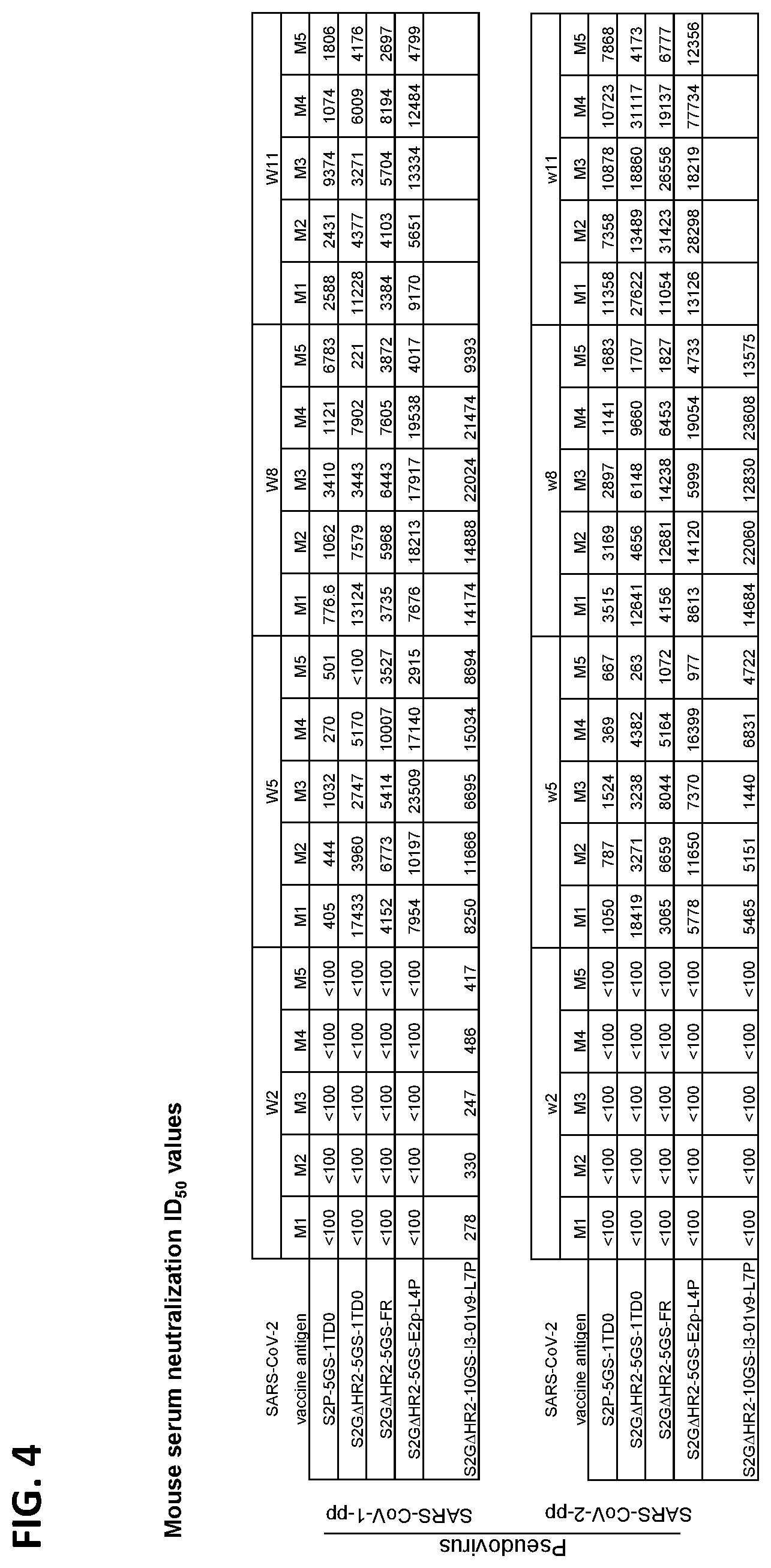 Patent US12448416 Figure 4 – Stabilized coronavirus spike (s) protein immunogens and related vaccines
