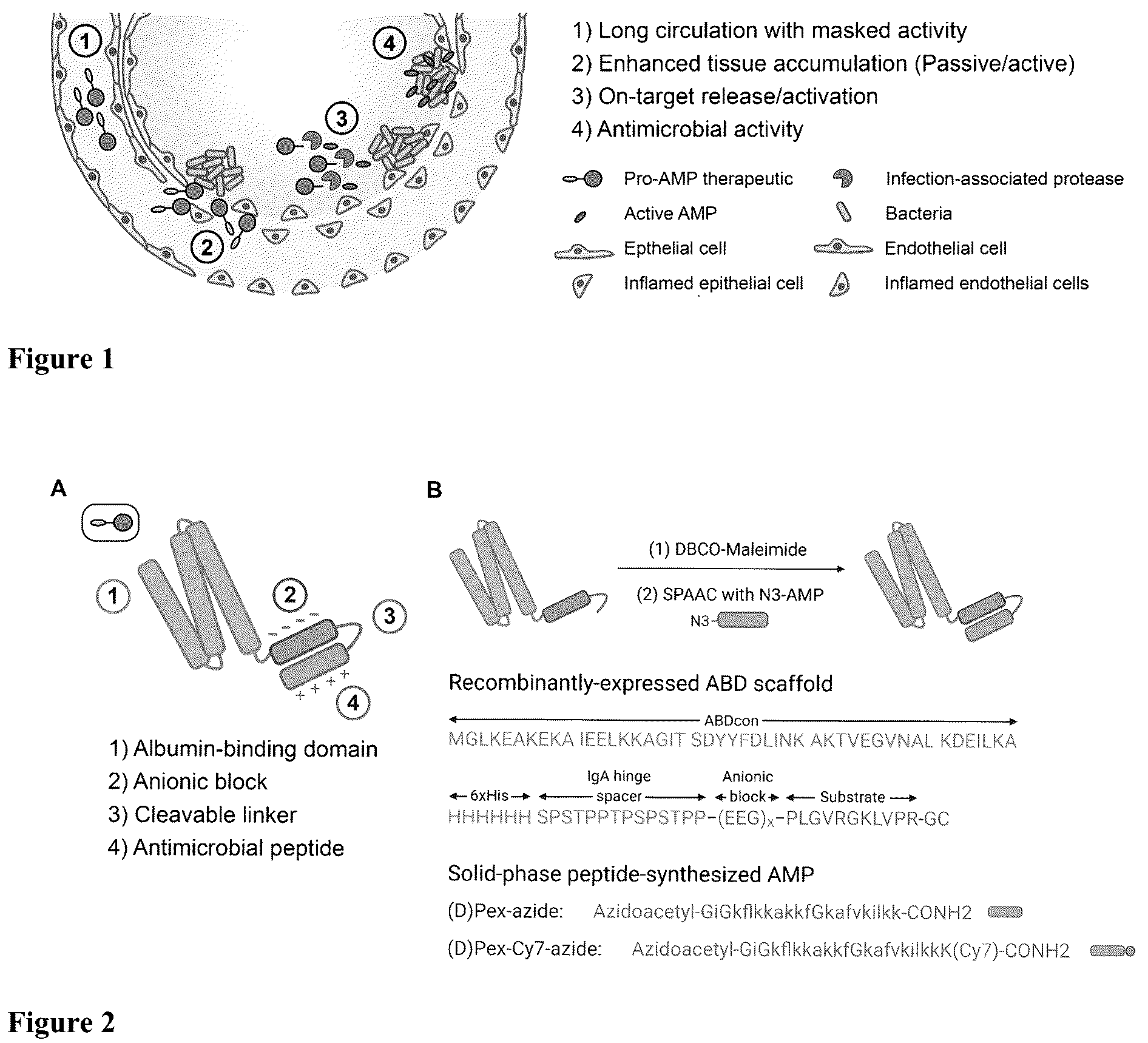 Patent US12448418 — Activatable therapeutic peptides and uses thereof — Figure 1