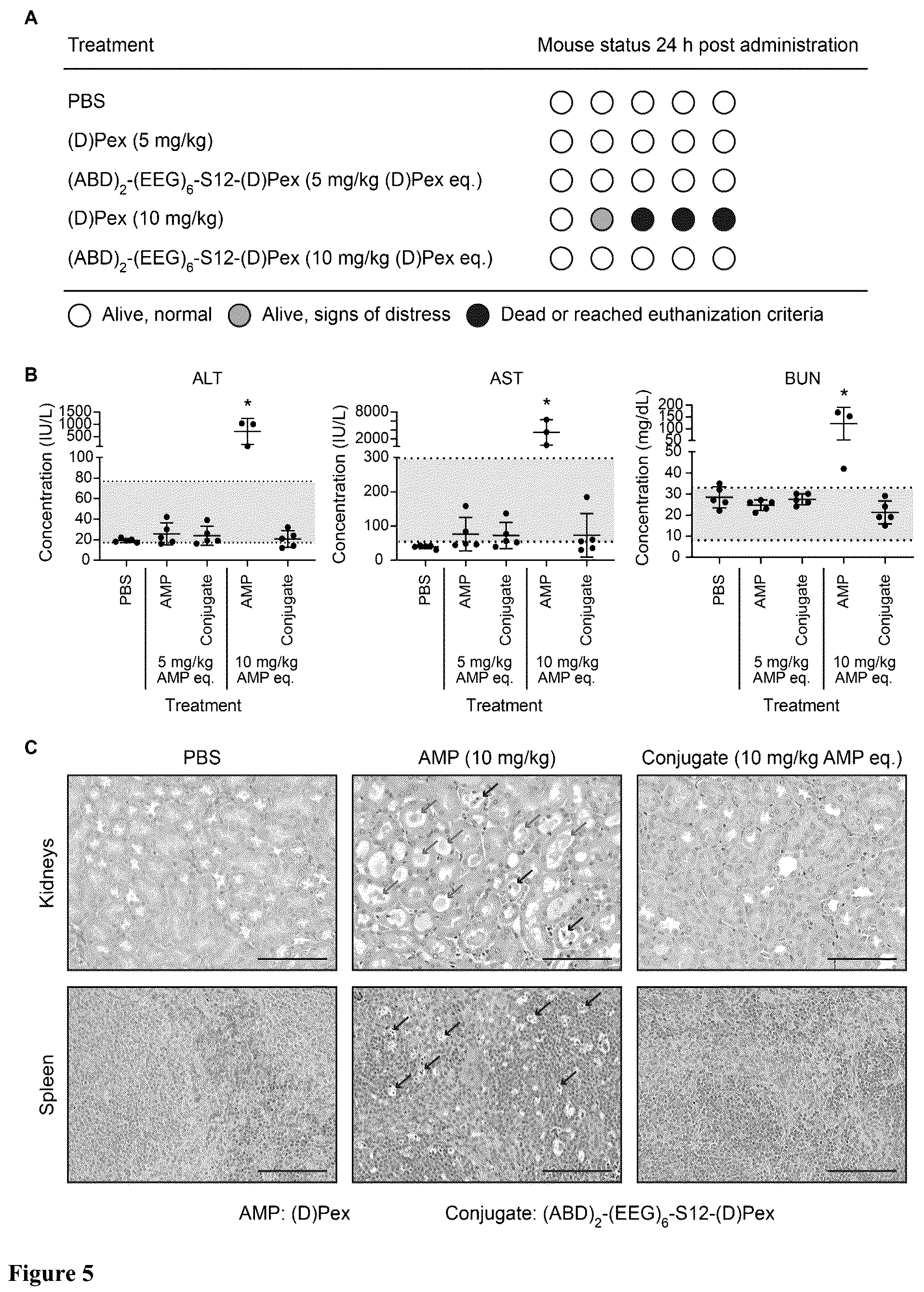 Patent US12448418 Figure 4 – Activatable therapeutic peptides and uses thereof