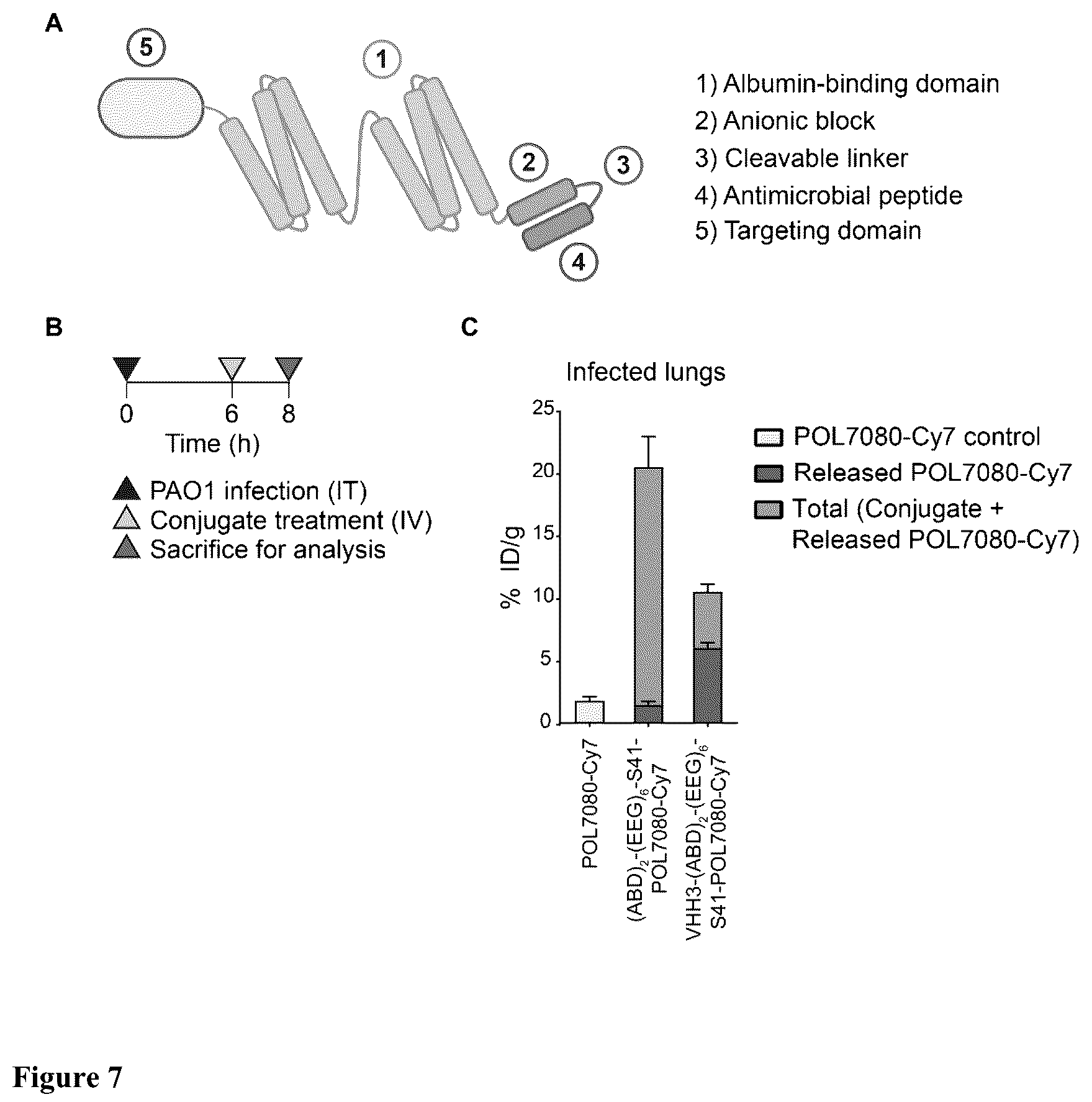 Patent US12448418 Figure 6 – Activatable therapeutic peptides and uses thereof