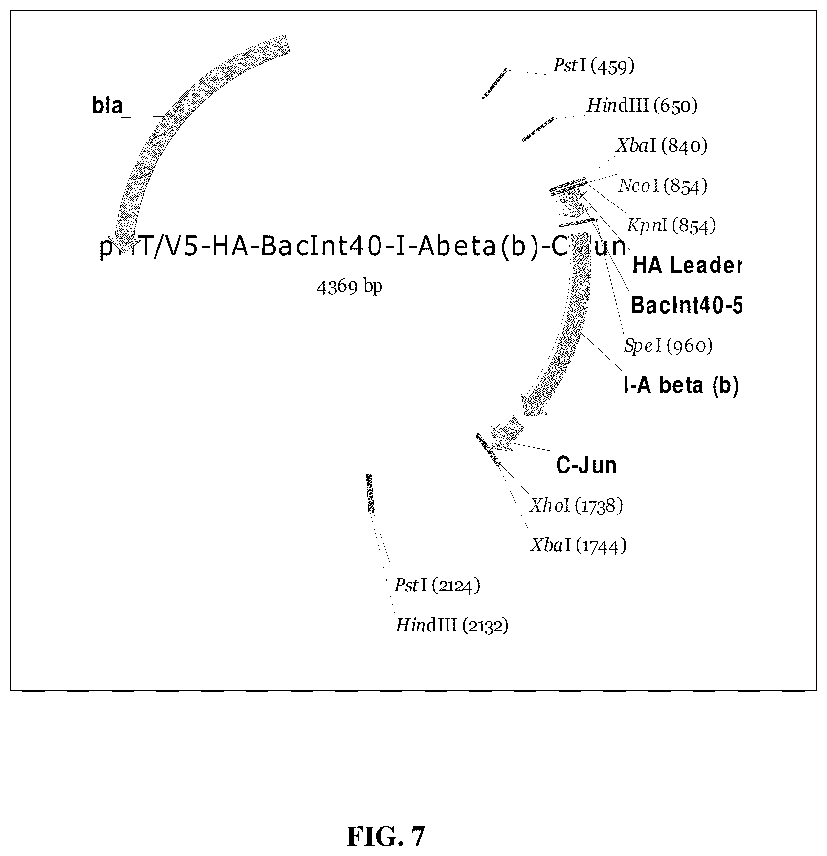 Patent US12448419 Figure 17 – Methods and compositions for treating inflammation