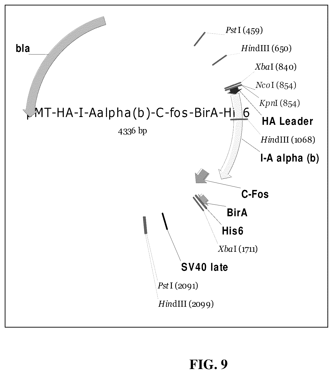 Patent US12448419 Figure 20 – Methods and compositions for treating inflammation