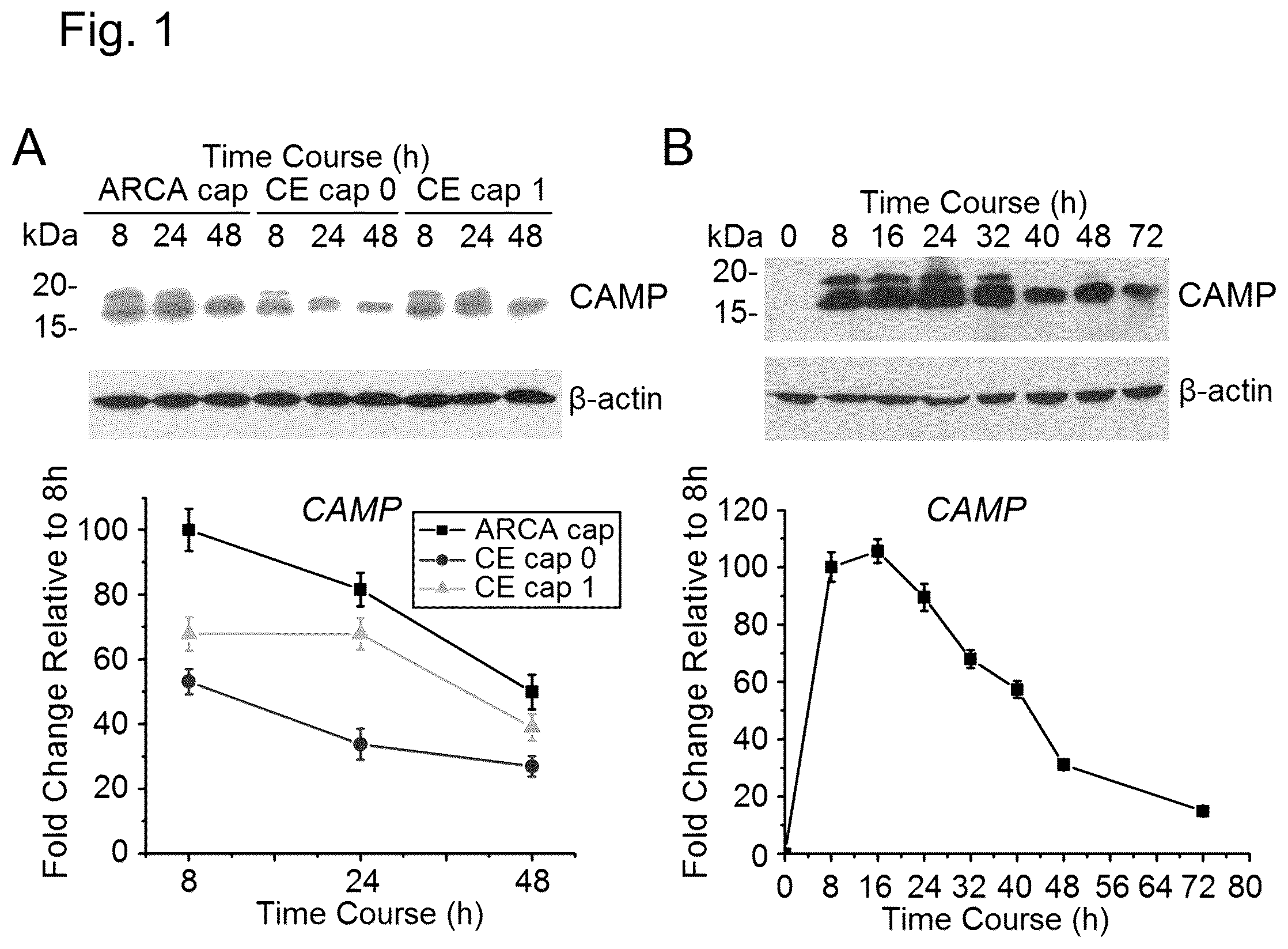 Patent US12448421 Figure 1 – Non-transgene transfection for therapeutic purposes
