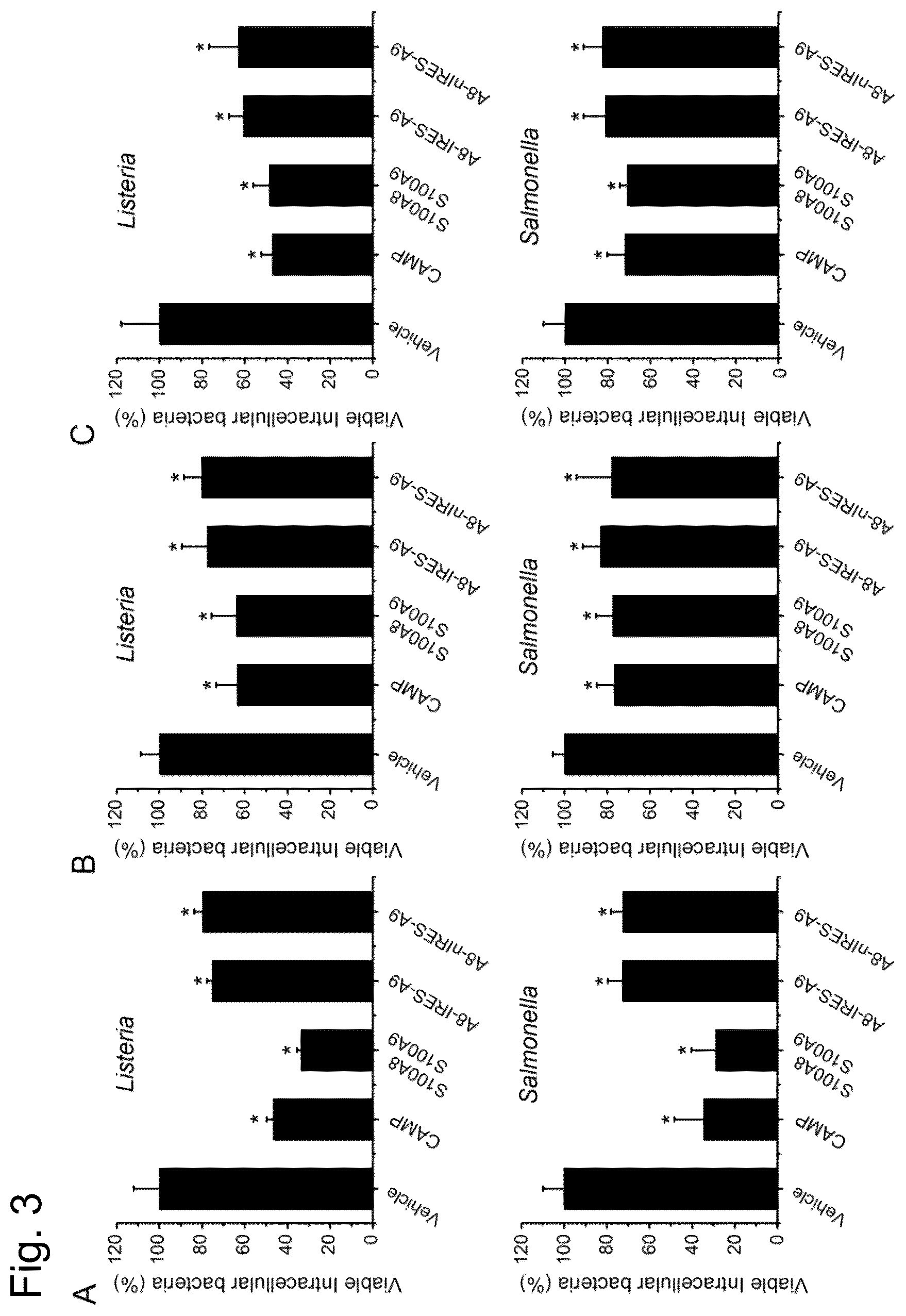Patent US12448421 Figure 3 – Non-transgene transfection for therapeutic purposes