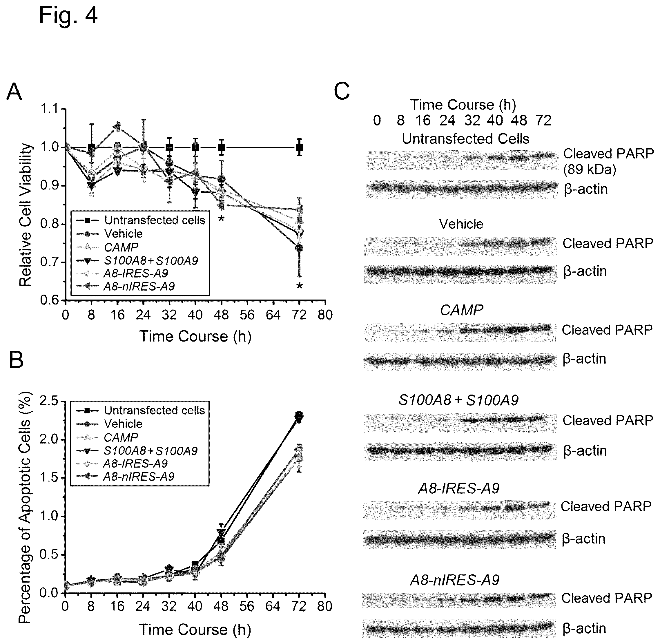Patent US12448421 Figure 4 – Non-transgene transfection for therapeutic purposes