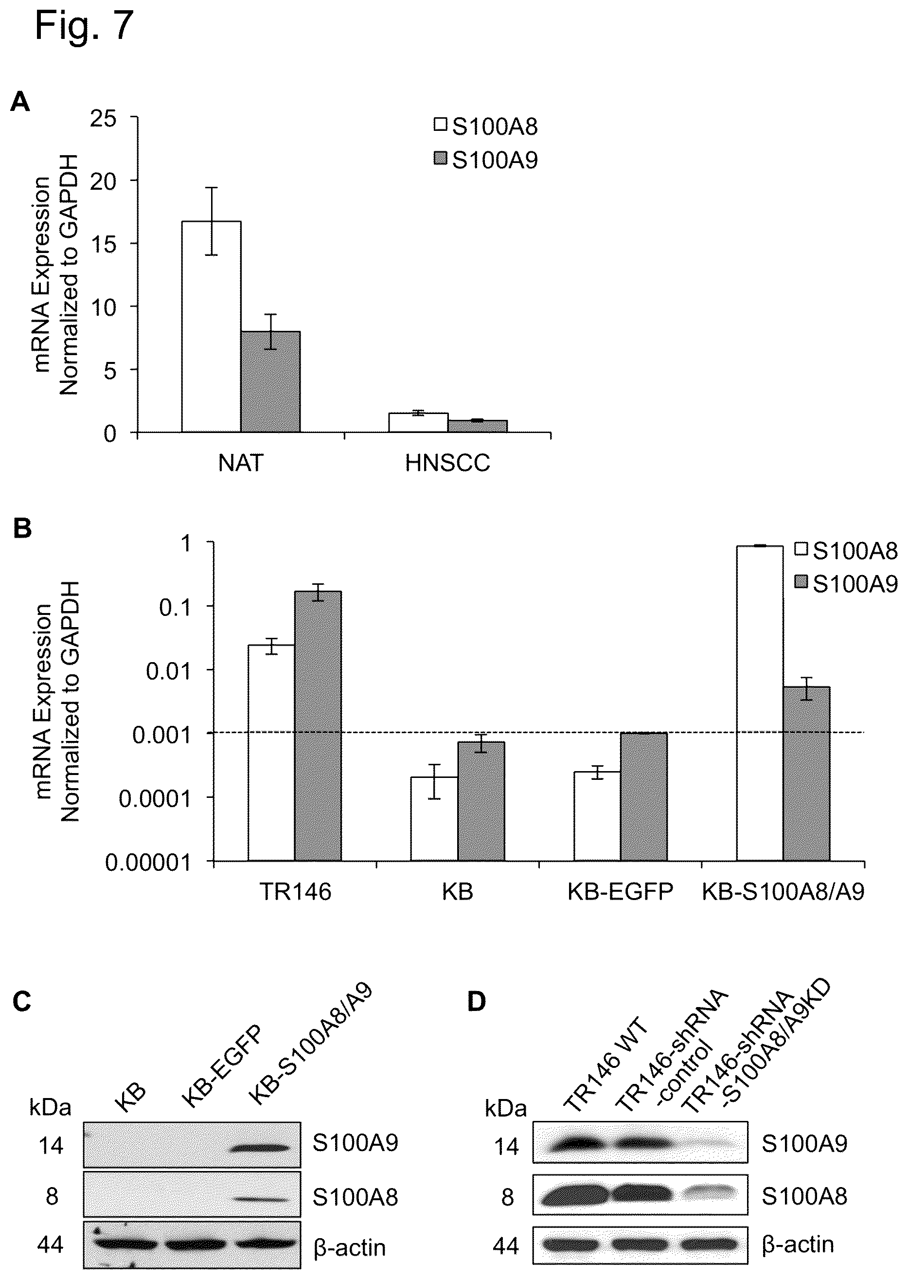 Patent US12448421 Figure 7 – Non-transgene transfection for therapeutic purposes