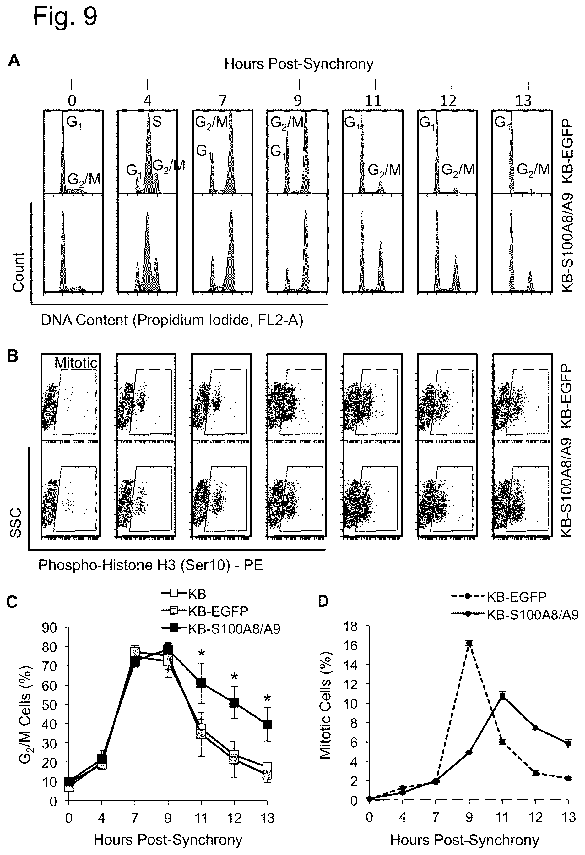 Patent US12448421 Figure 9 – Non-transgene transfection for therapeutic purposes