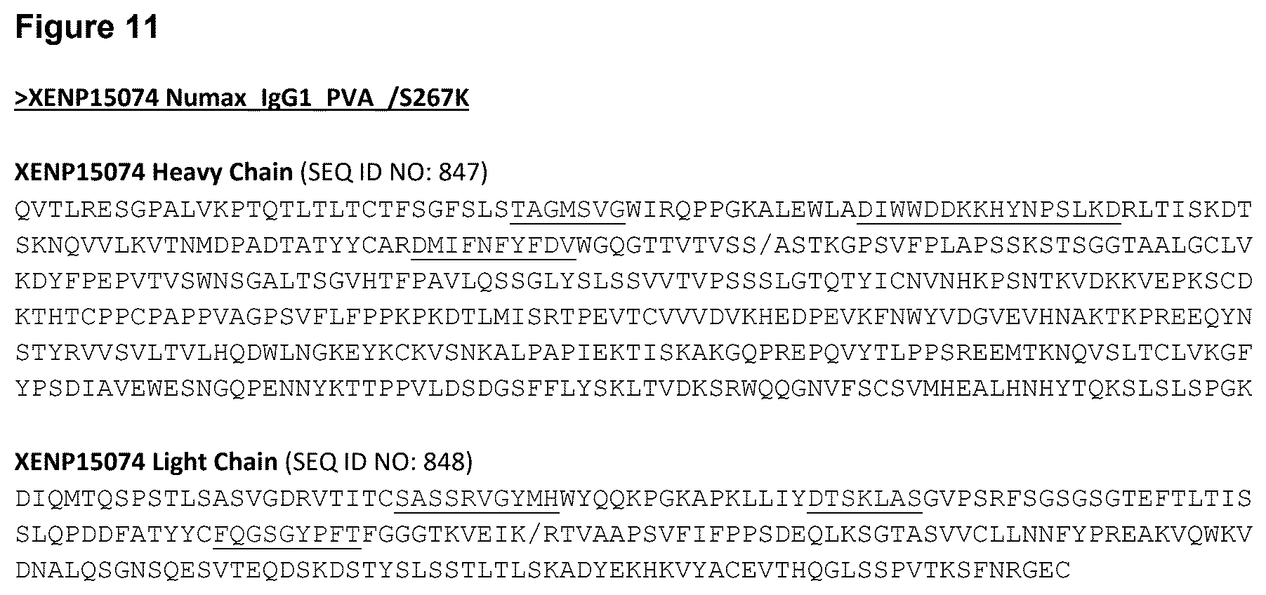 Patent US12448423 Figure 19 – Targeted heterodimeric Fc fusion proteins containing NKG2D antigen binding domains