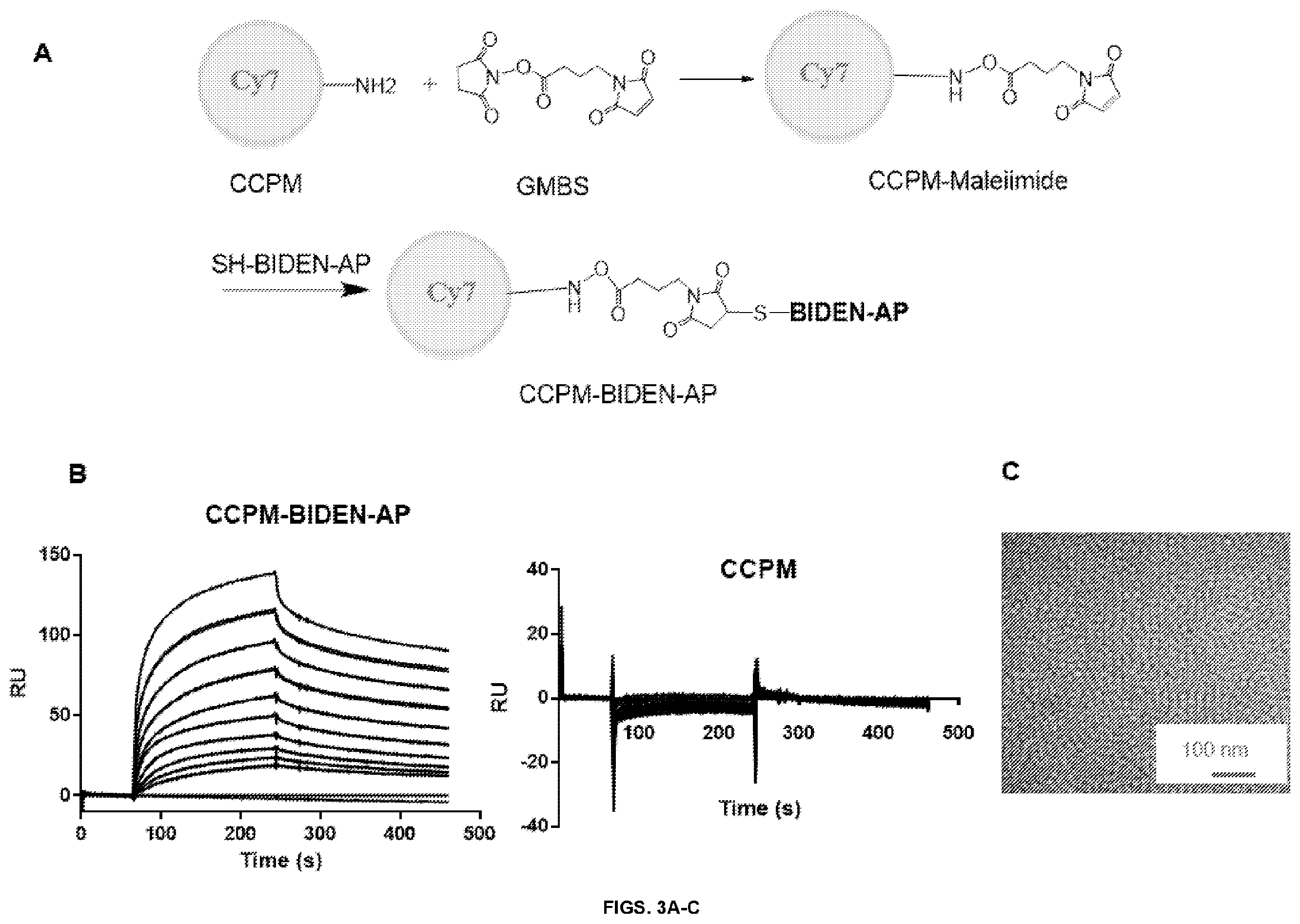 Patent US12448425 Figure 5 – Therapeutic peptides
