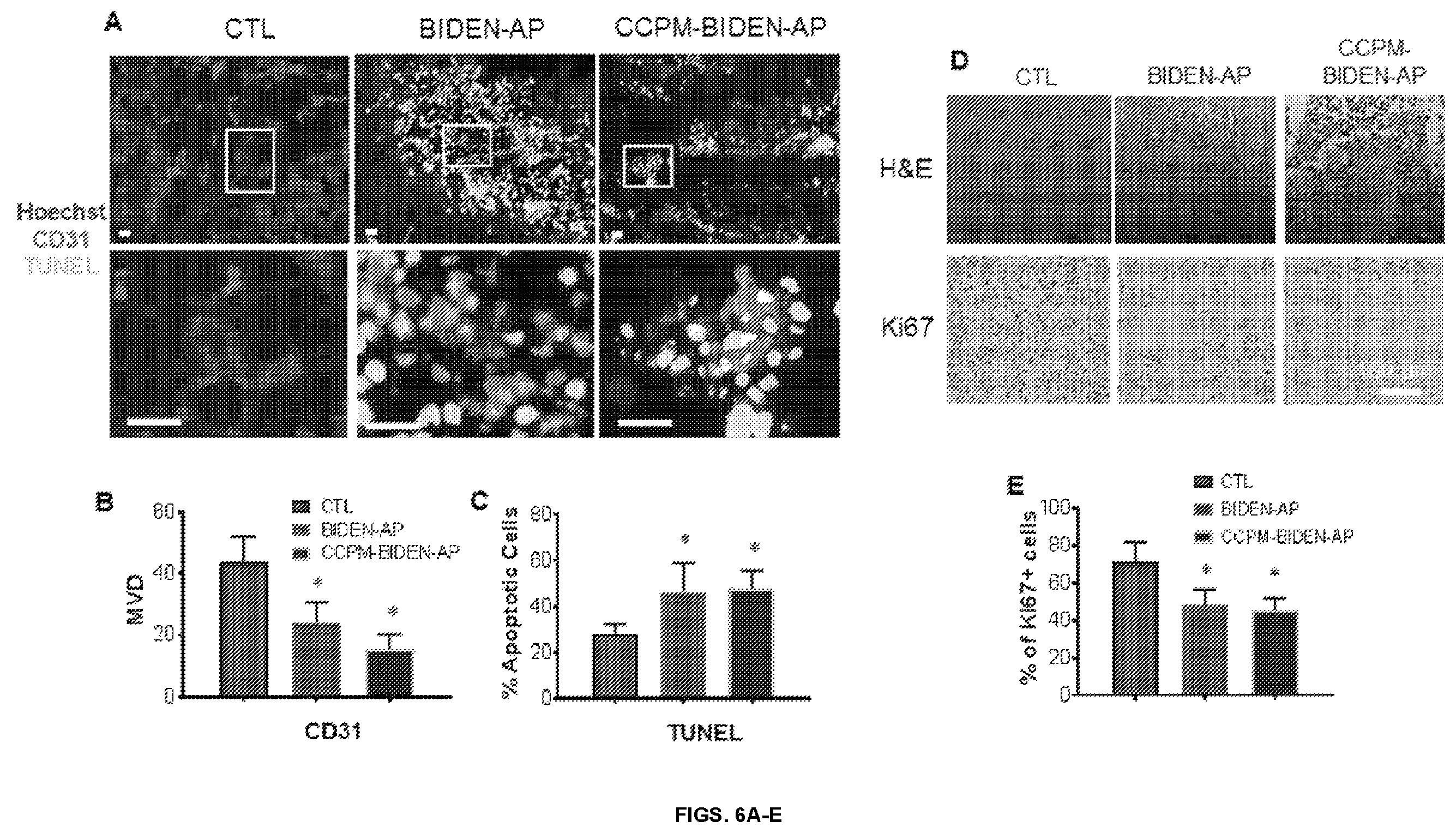 Patent US12448425 Figure 8 – Therapeutic peptides