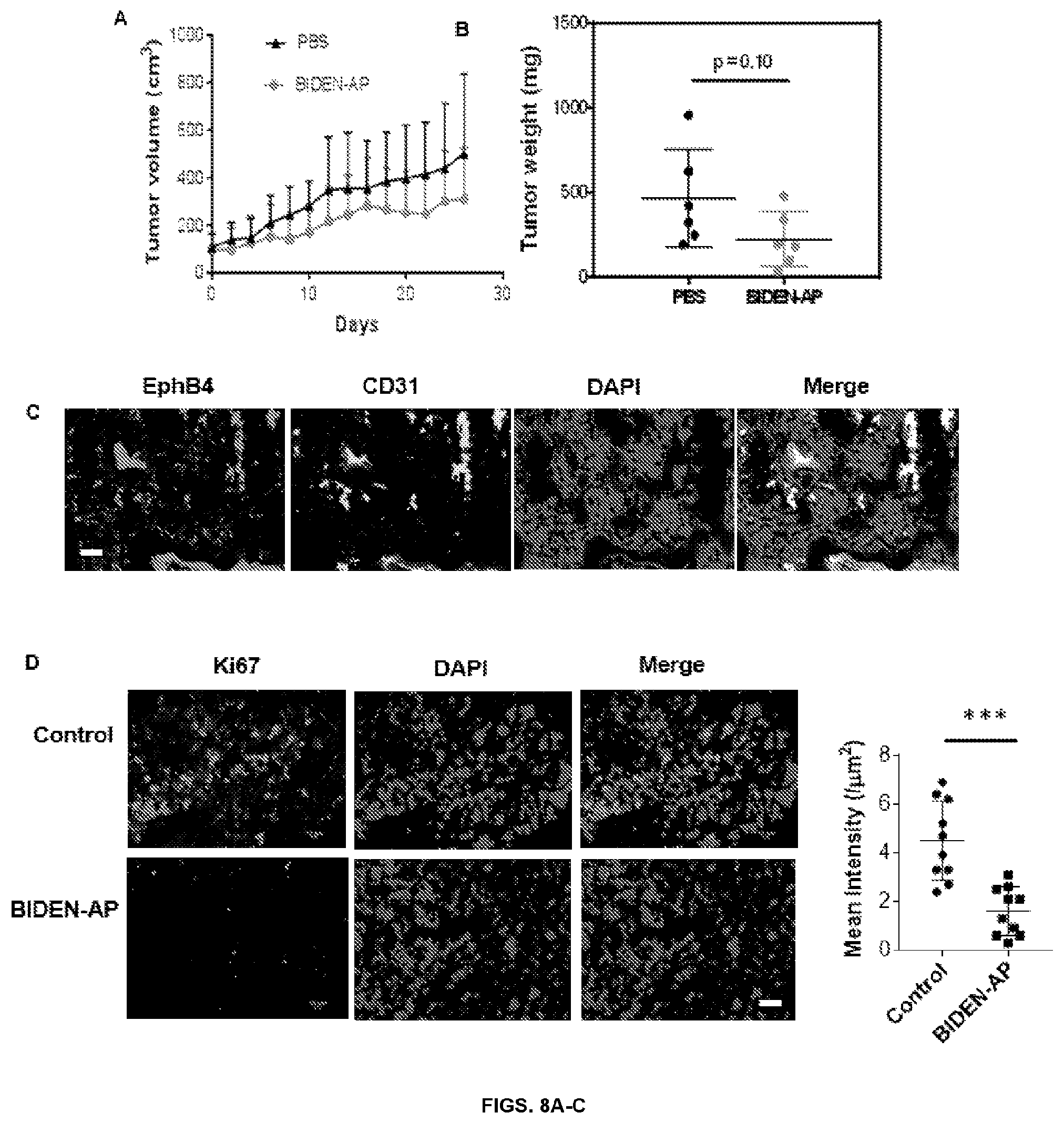 Patent US12448425 Figure 10 – Therapeutic peptides
