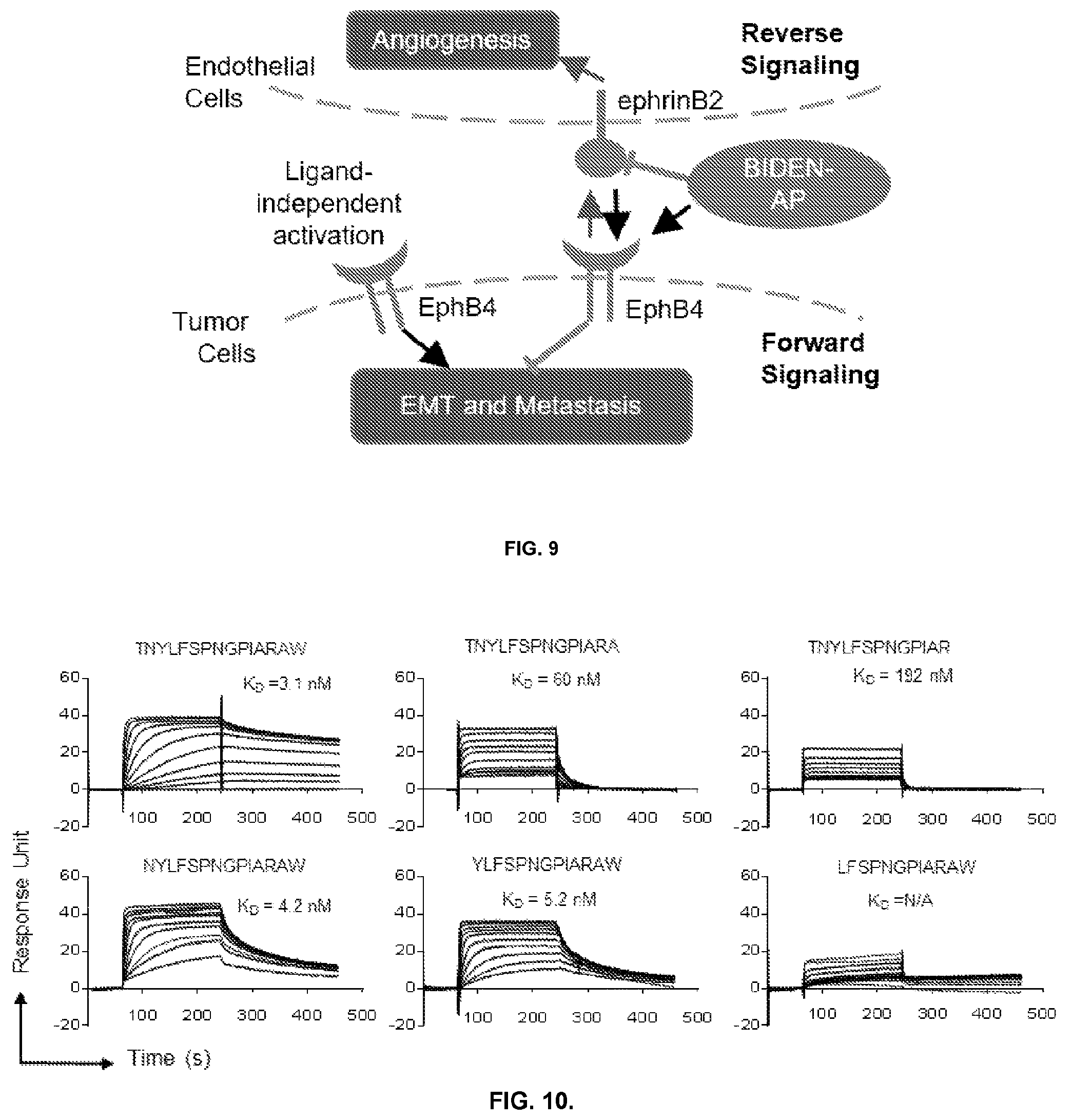 Patent US12448425 Figure 11 – Therapeutic peptides