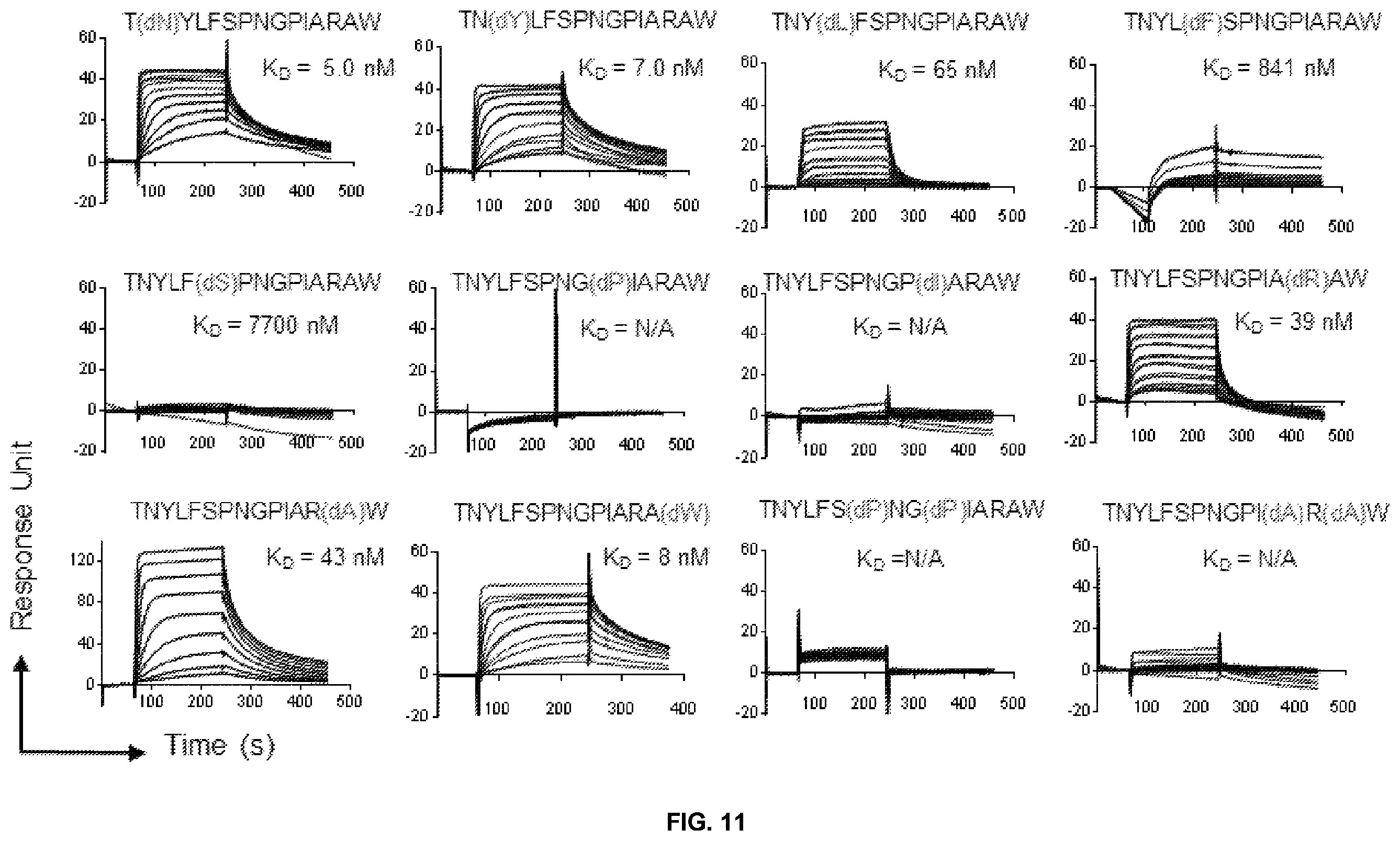 Patent US12448425 Figure 12 – Therapeutic peptides