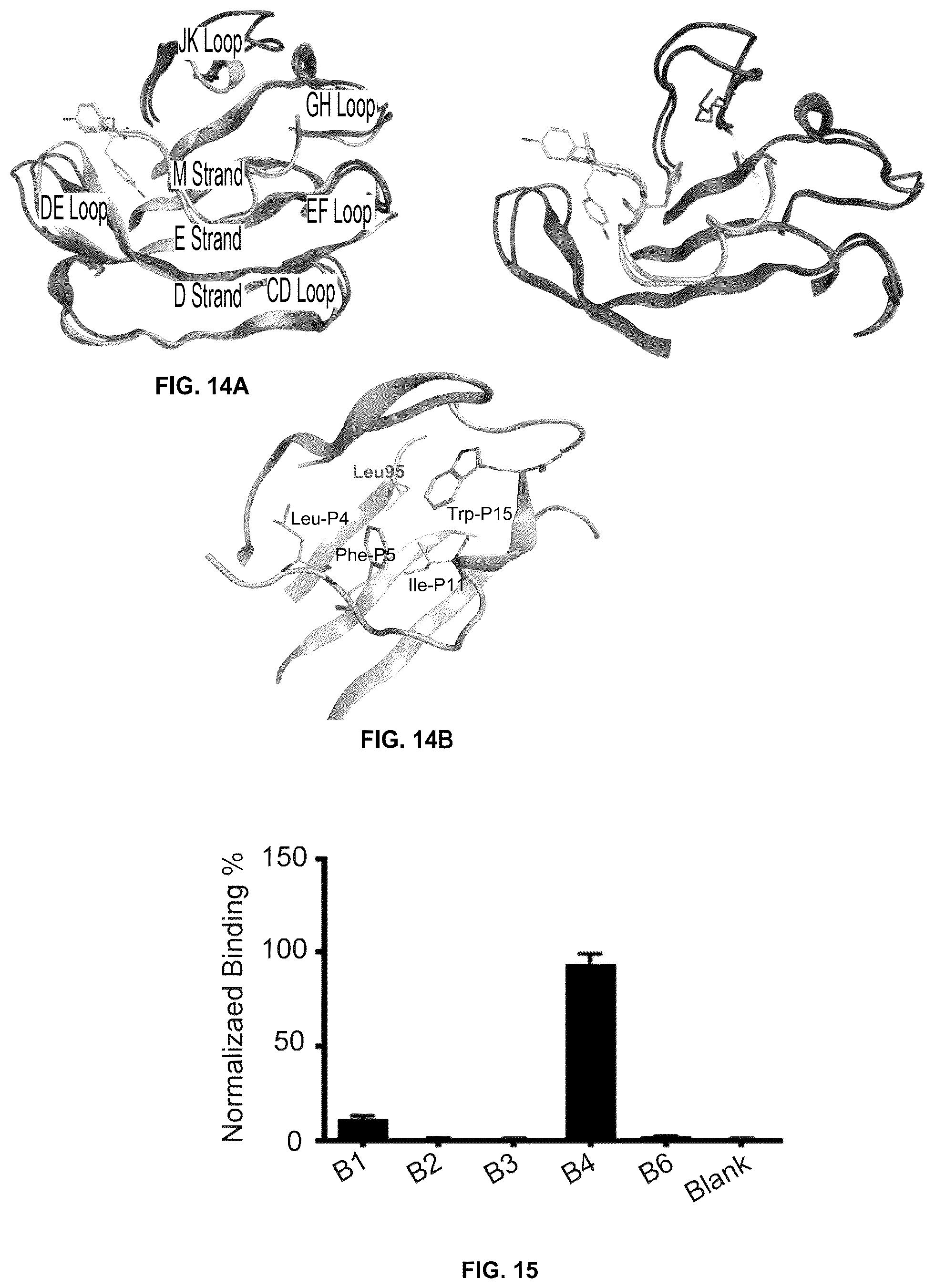 Patent US12448425 Figure 14 – Therapeutic peptides