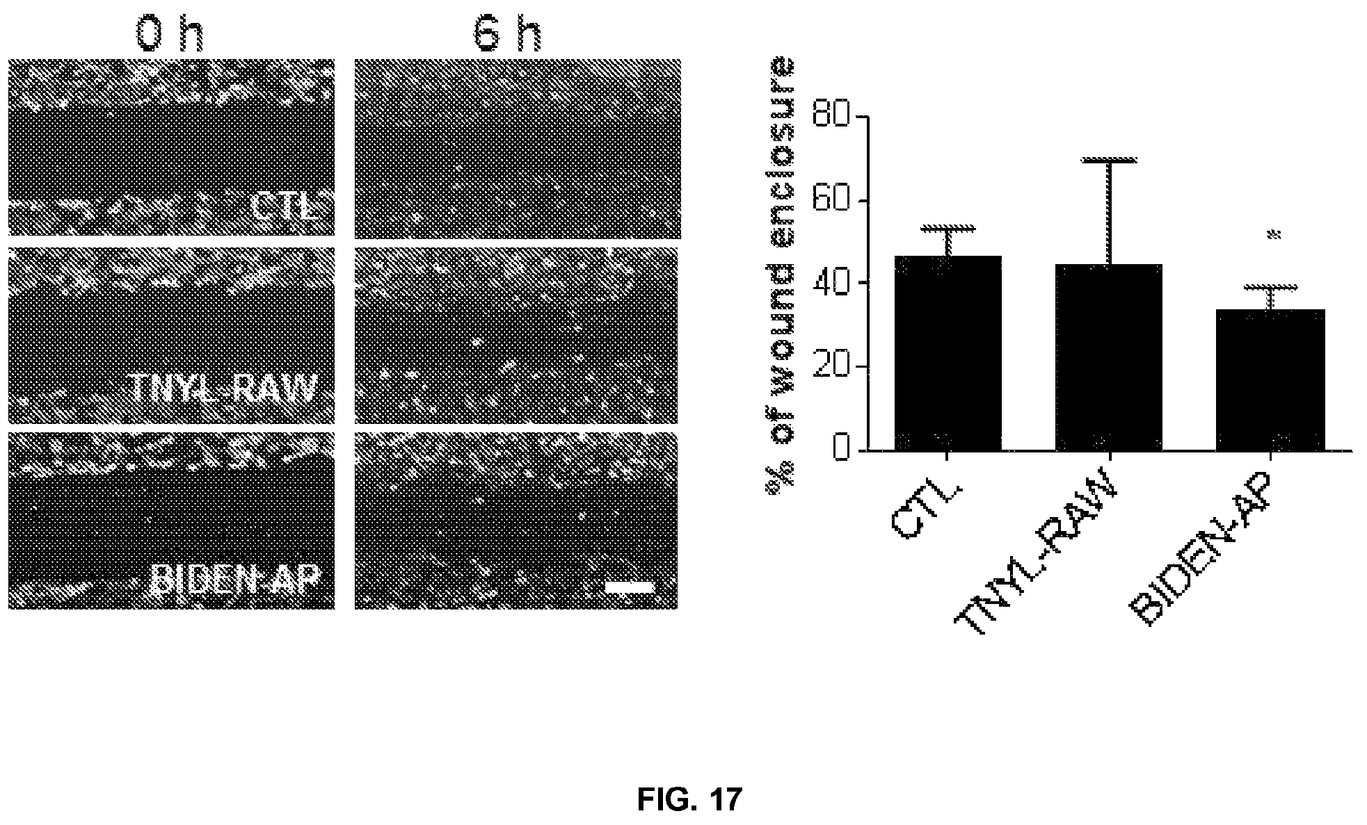 Patent US12448425 Figure 16 – Therapeutic peptides