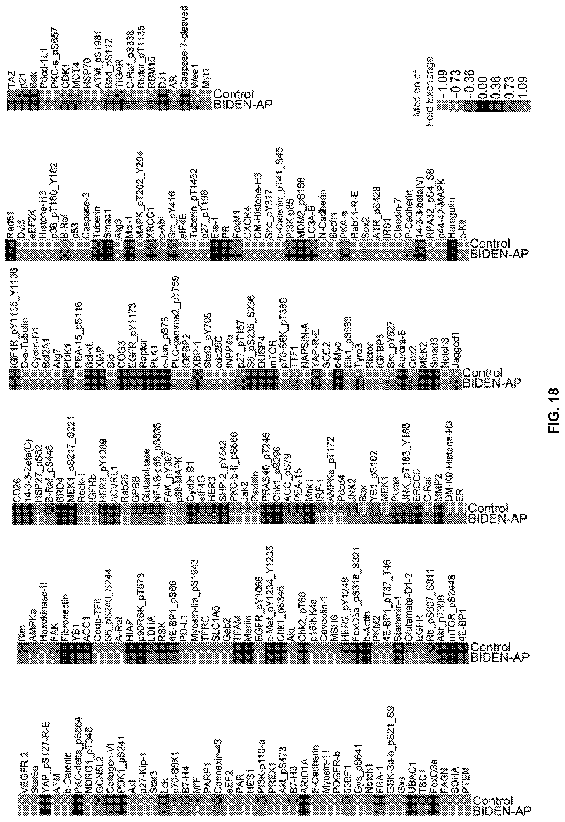 Patent US12448425 Figure 17 – Therapeutic peptides