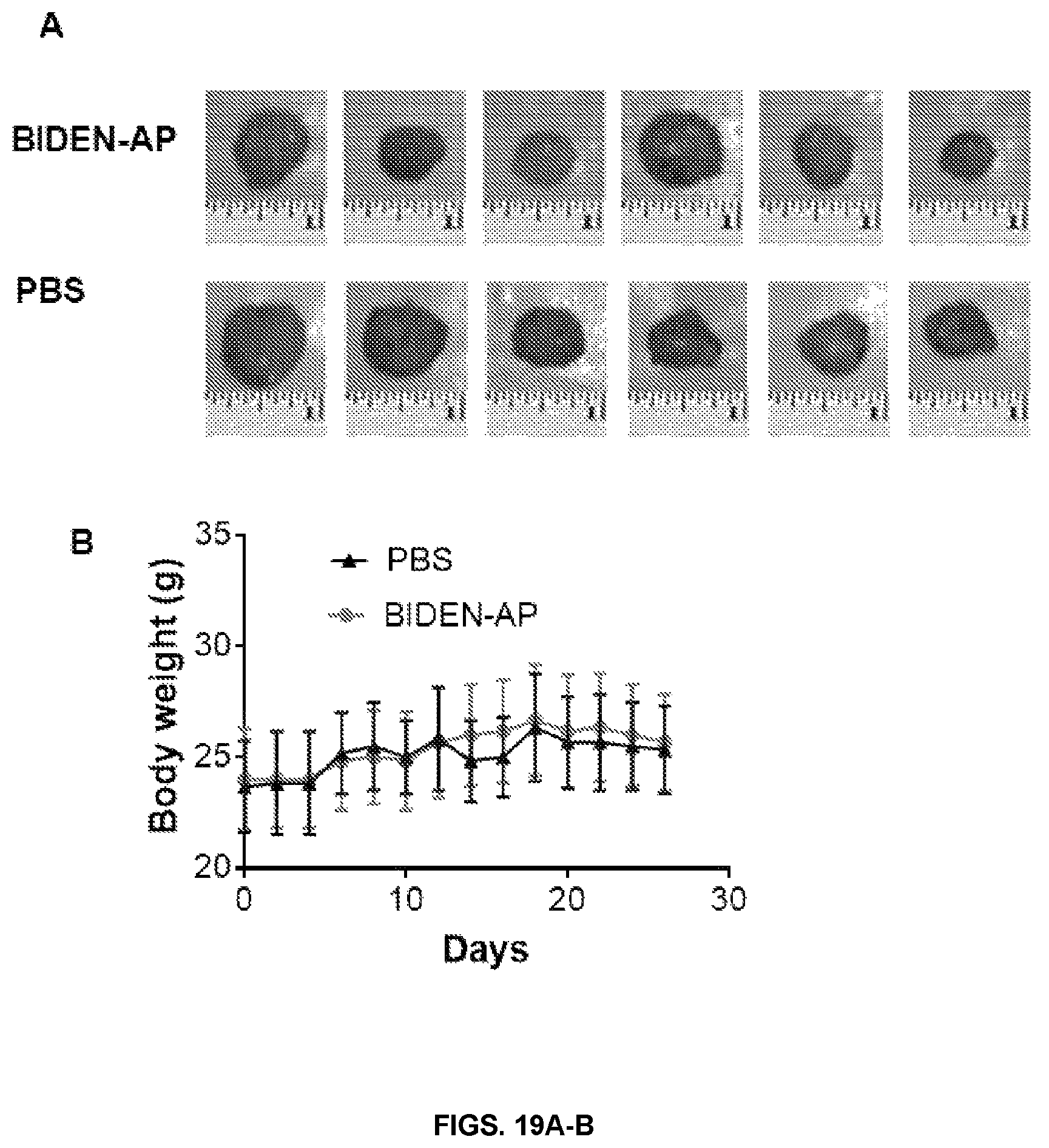 Patent US12448425 Figure 18 – Therapeutic peptides