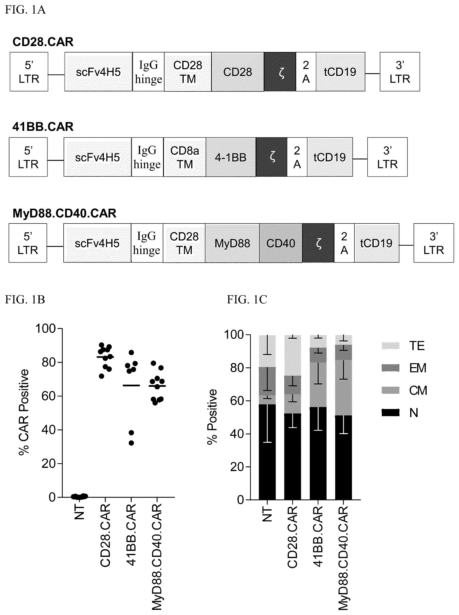 Patent US12448426 — Chimeric antigen receptors with MYD88 and CD40 costimulatory domains — Figure 1