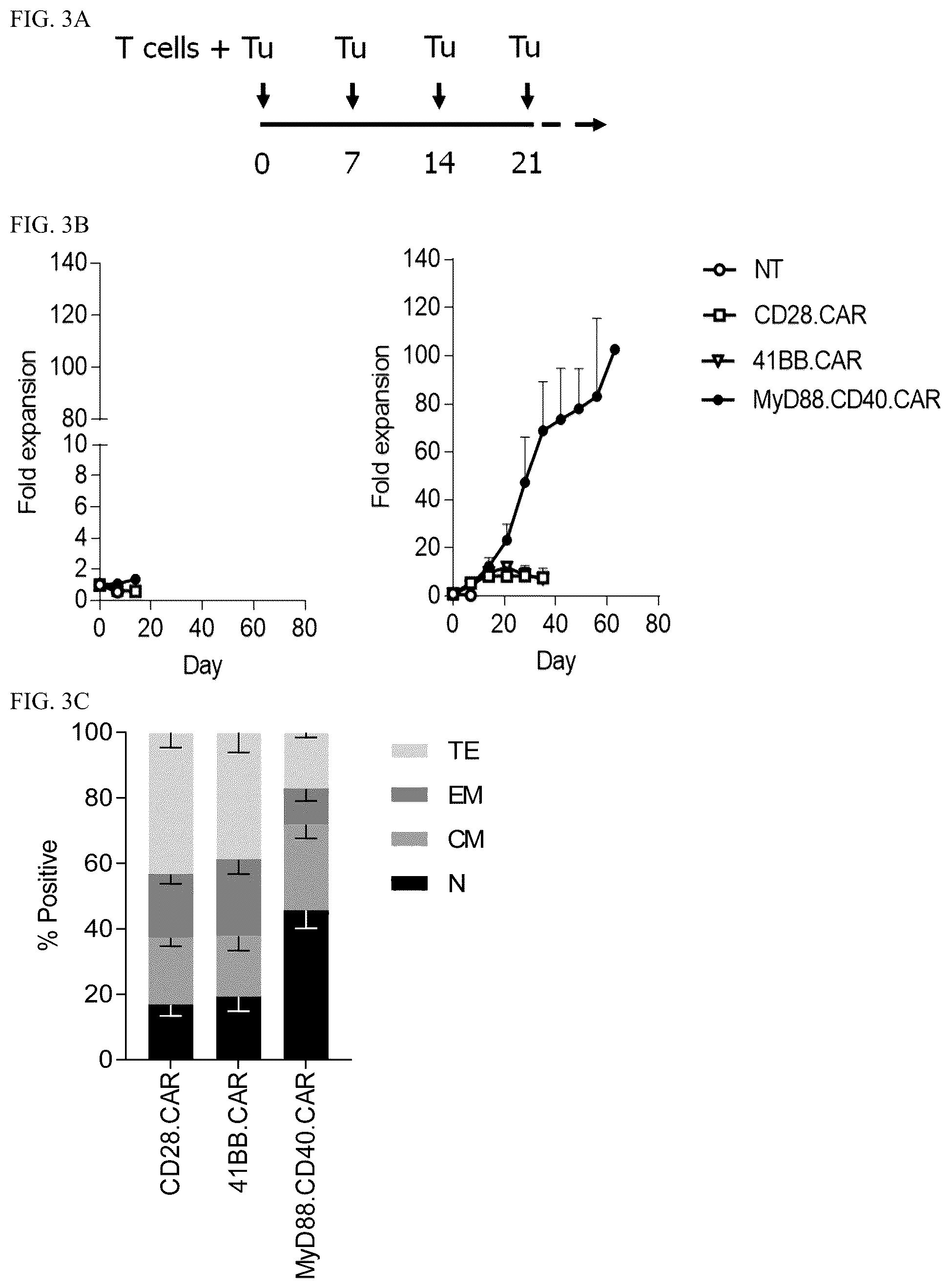 Patent US12448426 Figure 3 – Chimeric antigen receptors with MYD88 and CD40 costimulatory domains