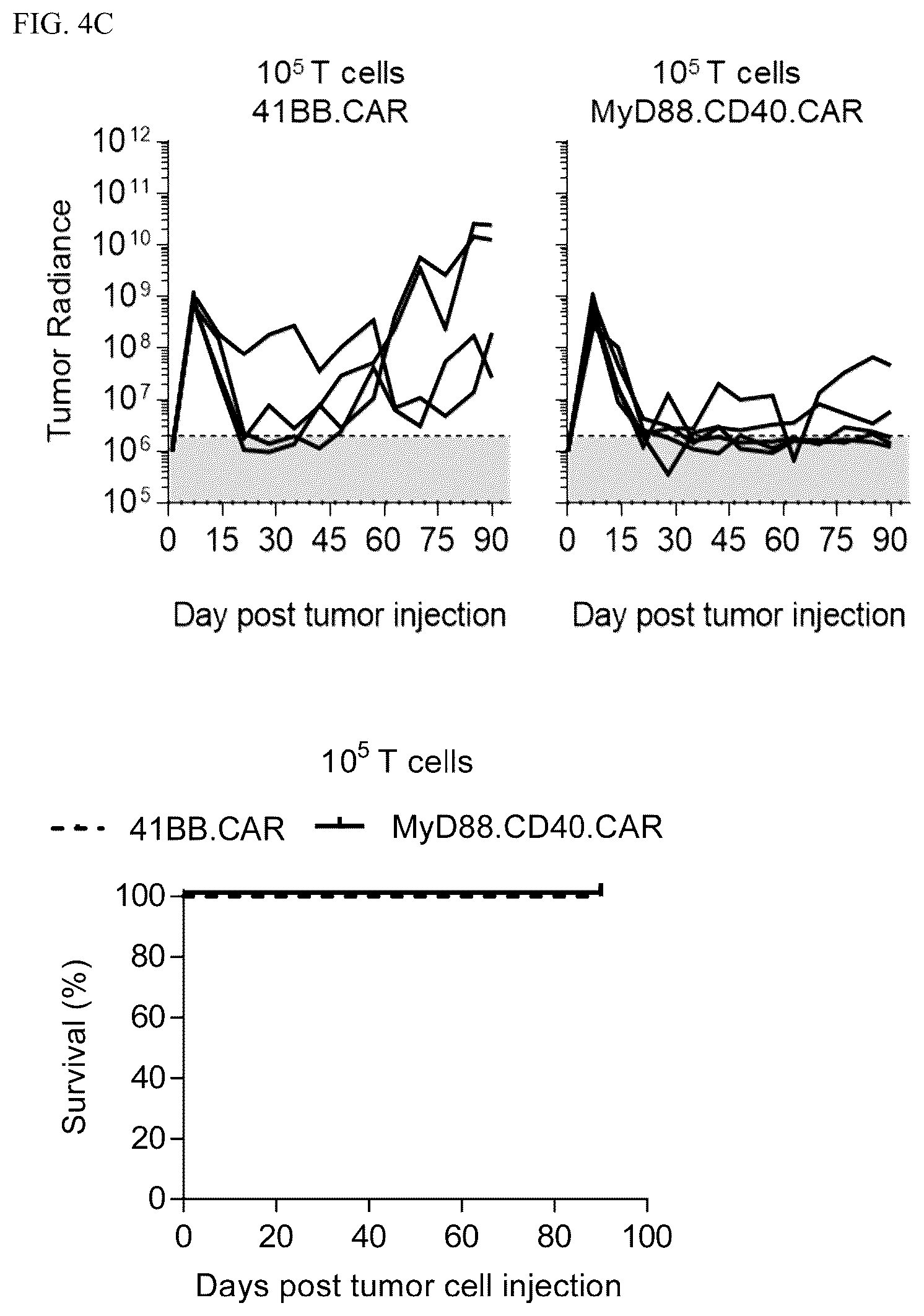 Patent US12448426 Figure 5 – Chimeric antigen receptors with MYD88 and CD40 costimulatory domains
