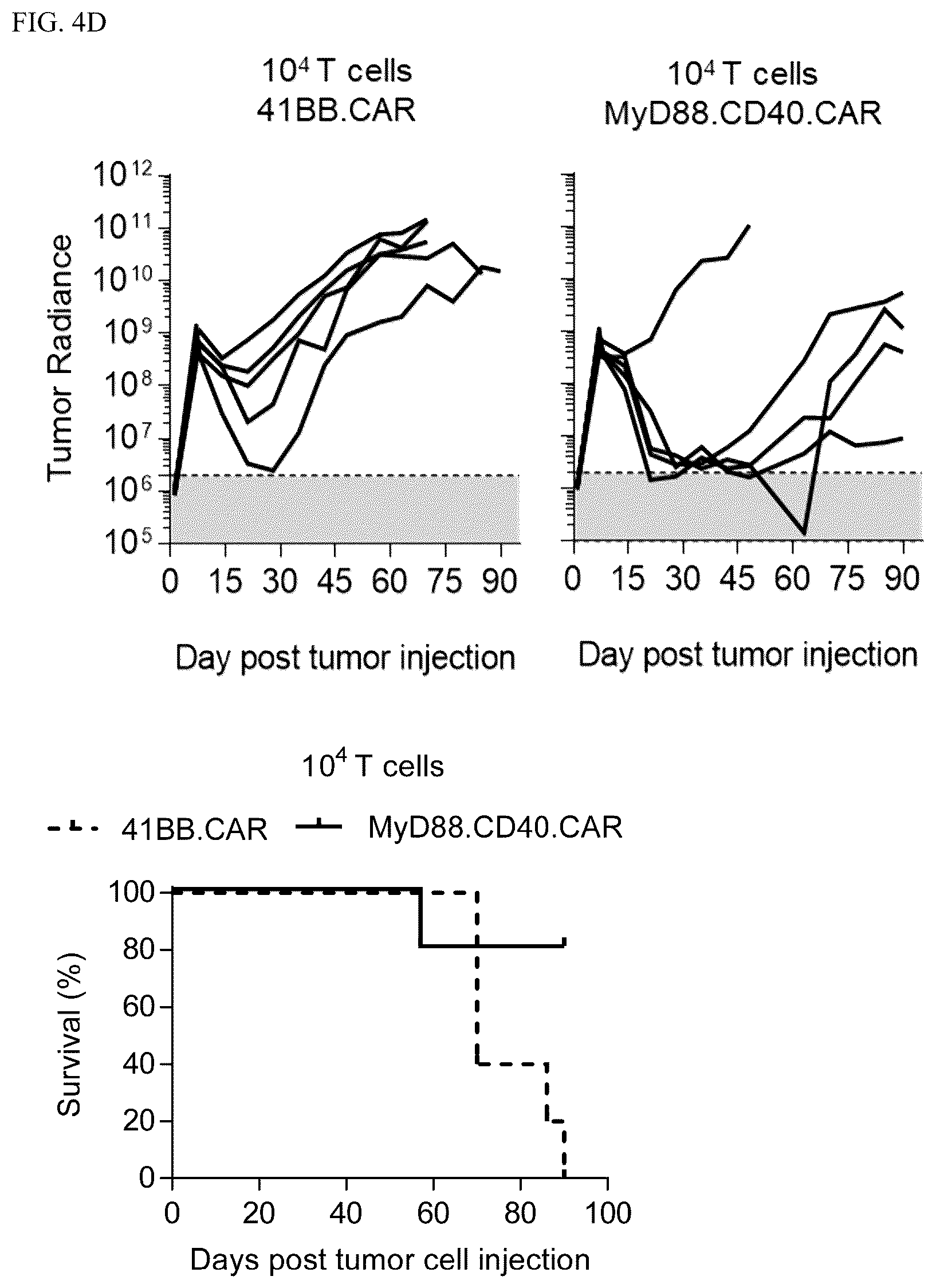 Patent US12448426 Figure 6 – Chimeric antigen receptors with MYD88 and CD40 costimulatory domains
