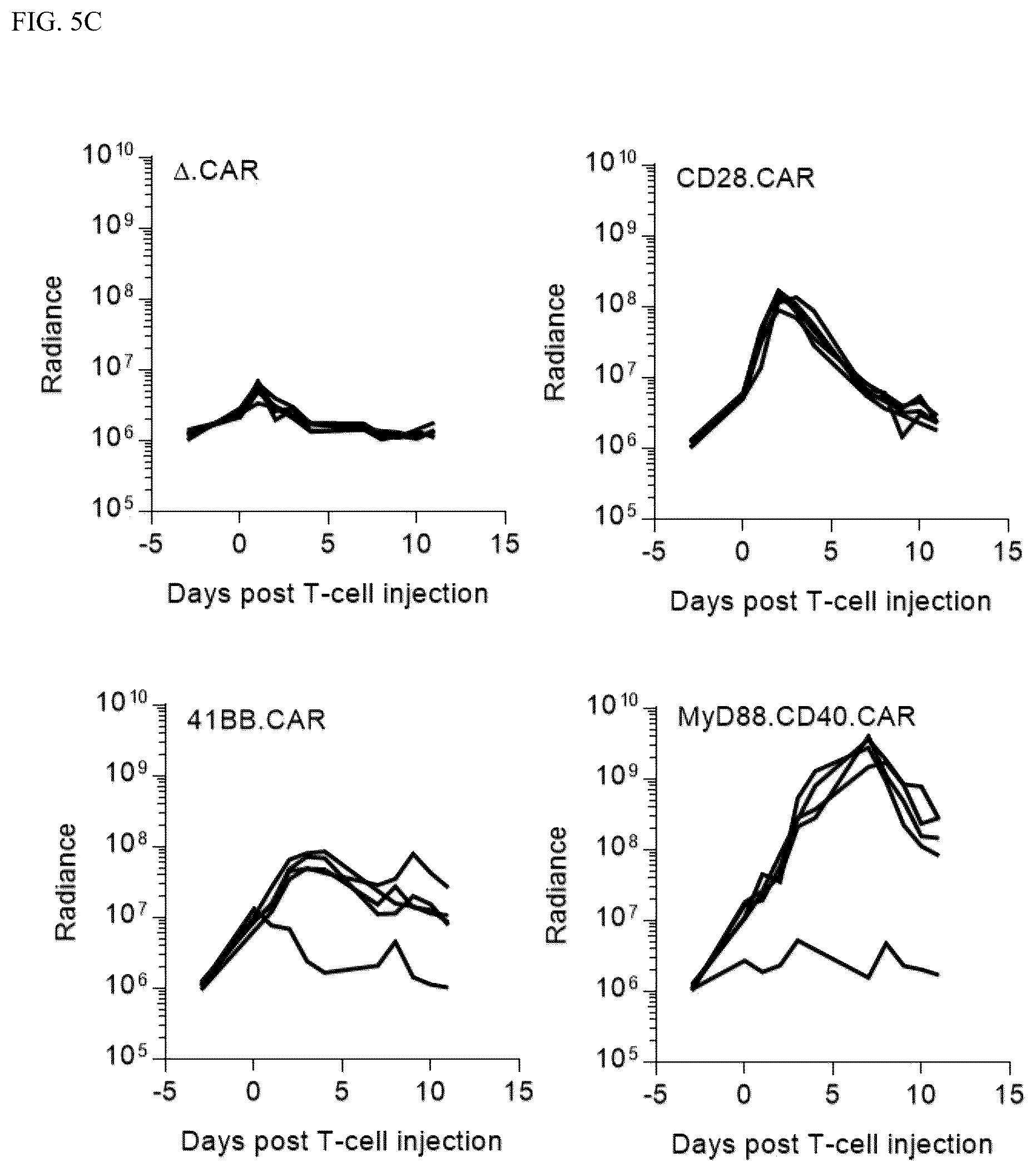 Patent US12448426 Figure 8 – Chimeric antigen receptors with MYD88 and CD40 costimulatory domains