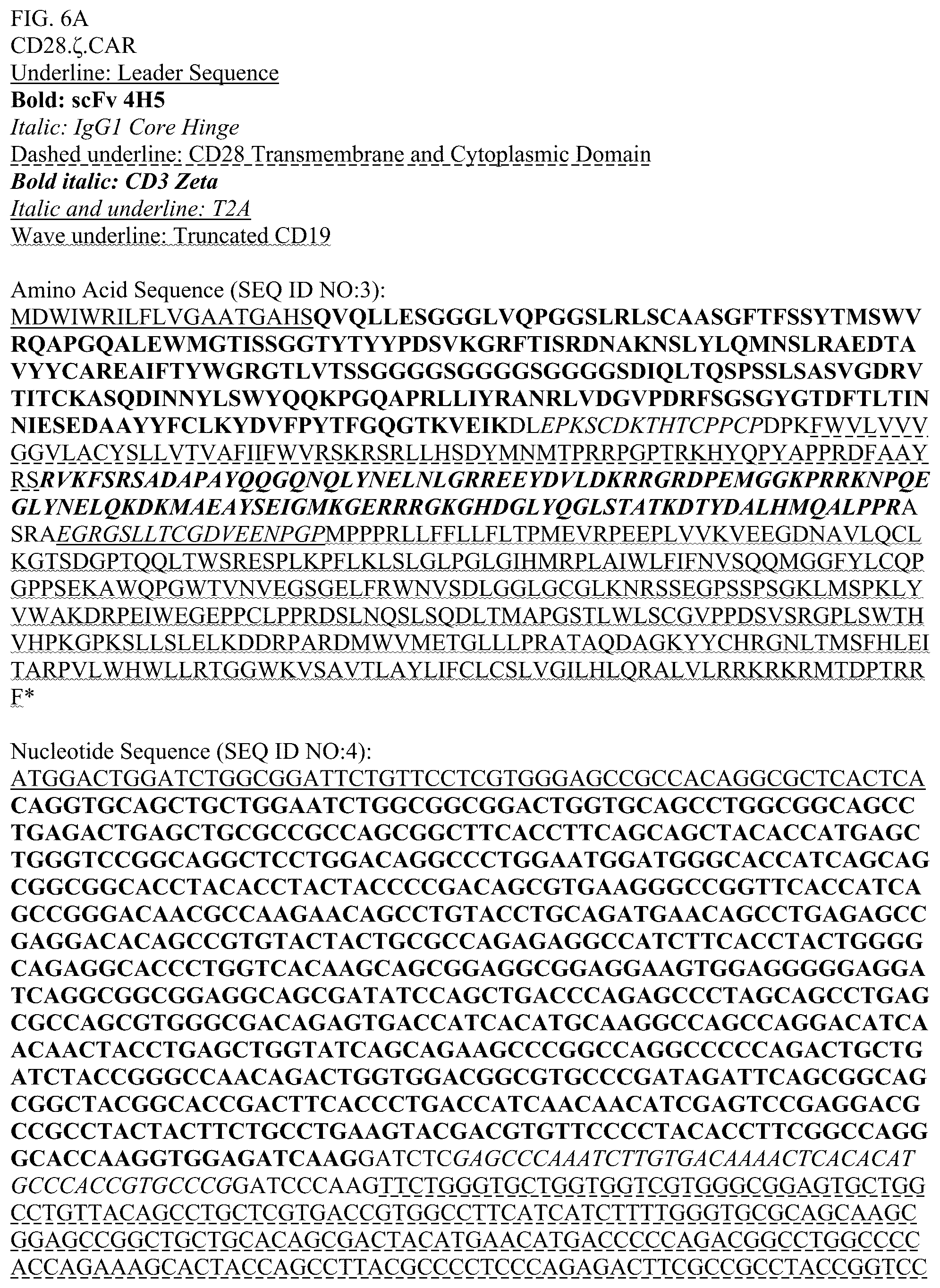 Patent US12448426 Figure 10 – Chimeric antigen receptors with MYD88 and CD40 costimulatory domains