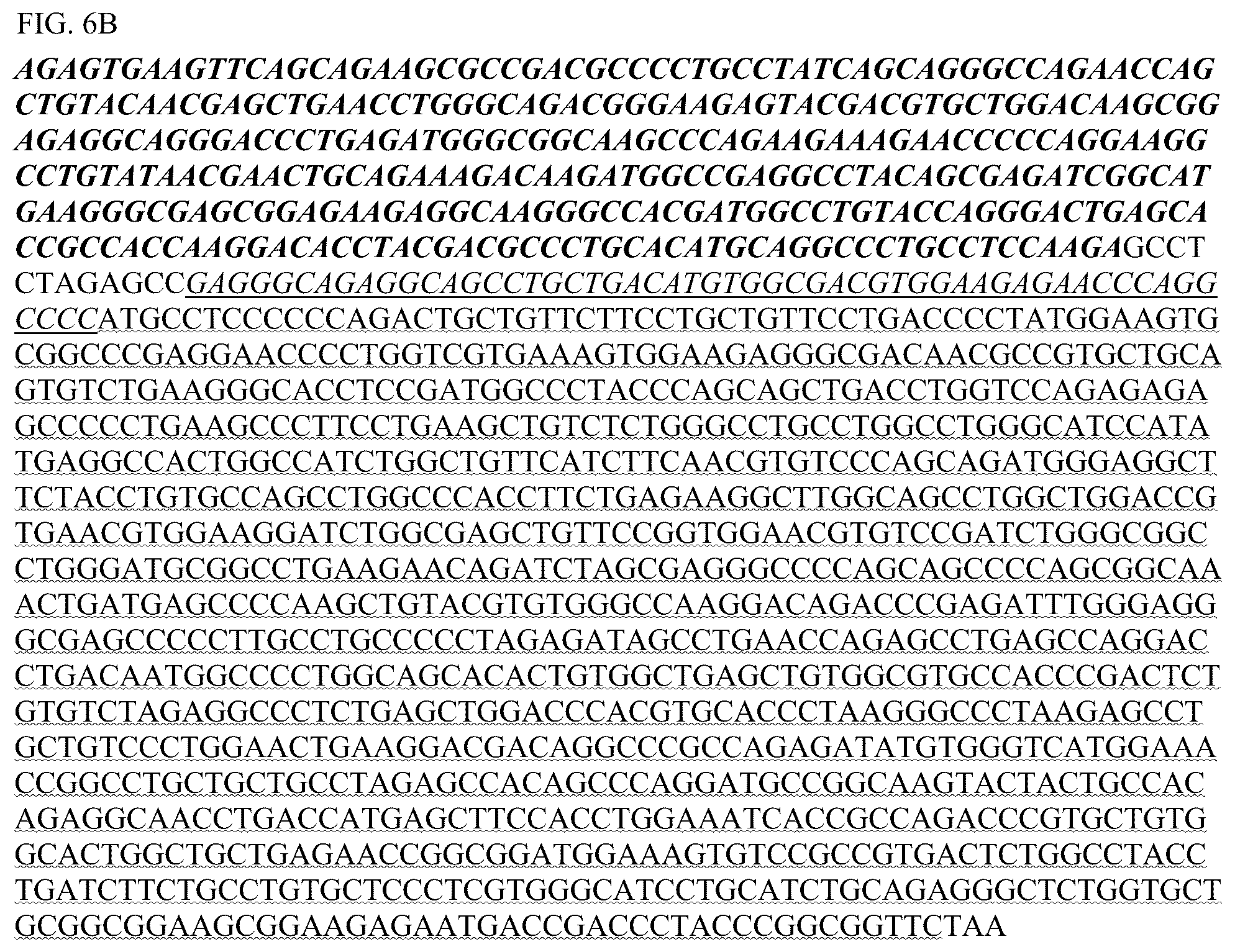 Patent US12448426 Figure 11 – Chimeric antigen receptors with MYD88 and CD40 costimulatory domains