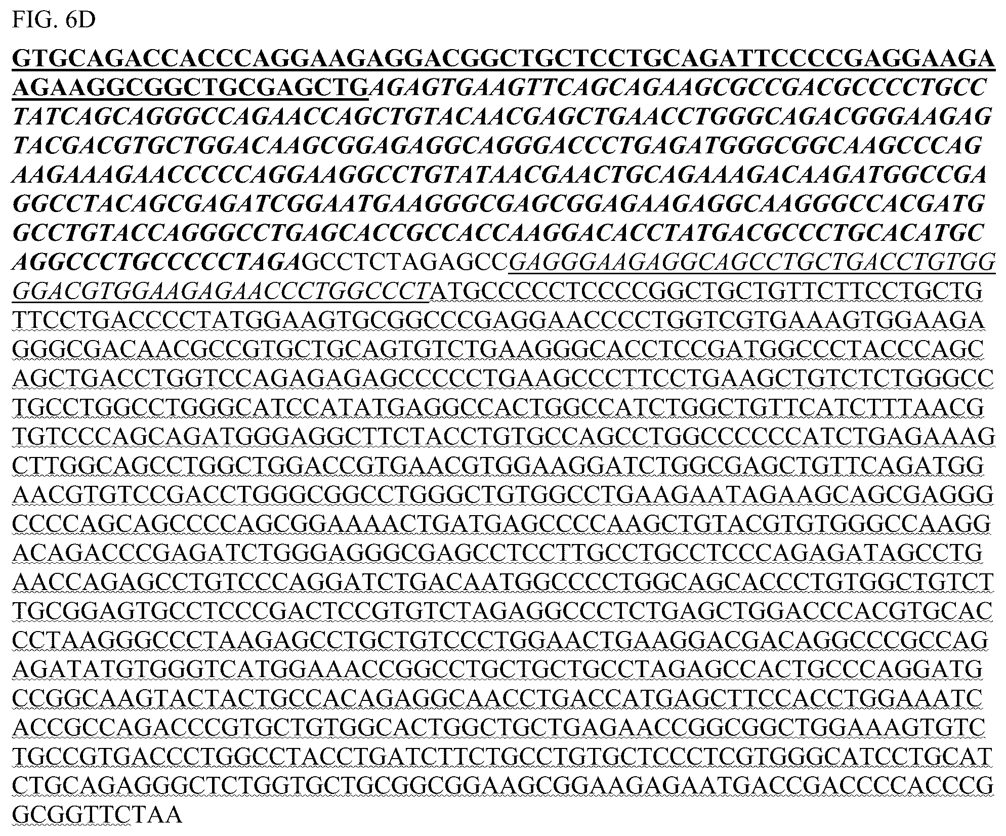 Patent US12448426 Figure 13 – Chimeric antigen receptors with MYD88 and CD40 costimulatory domains