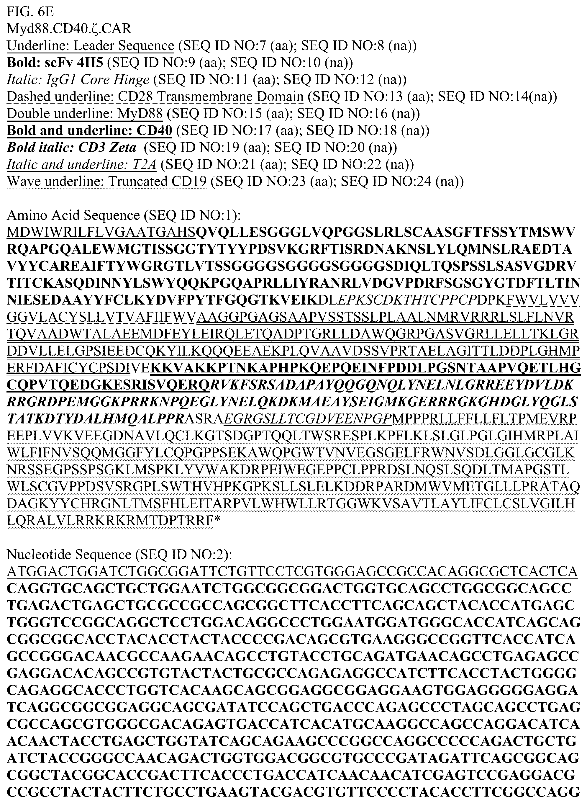 Patent US12448426 Figure 14 – Chimeric antigen receptors with MYD88 and CD40 costimulatory domains