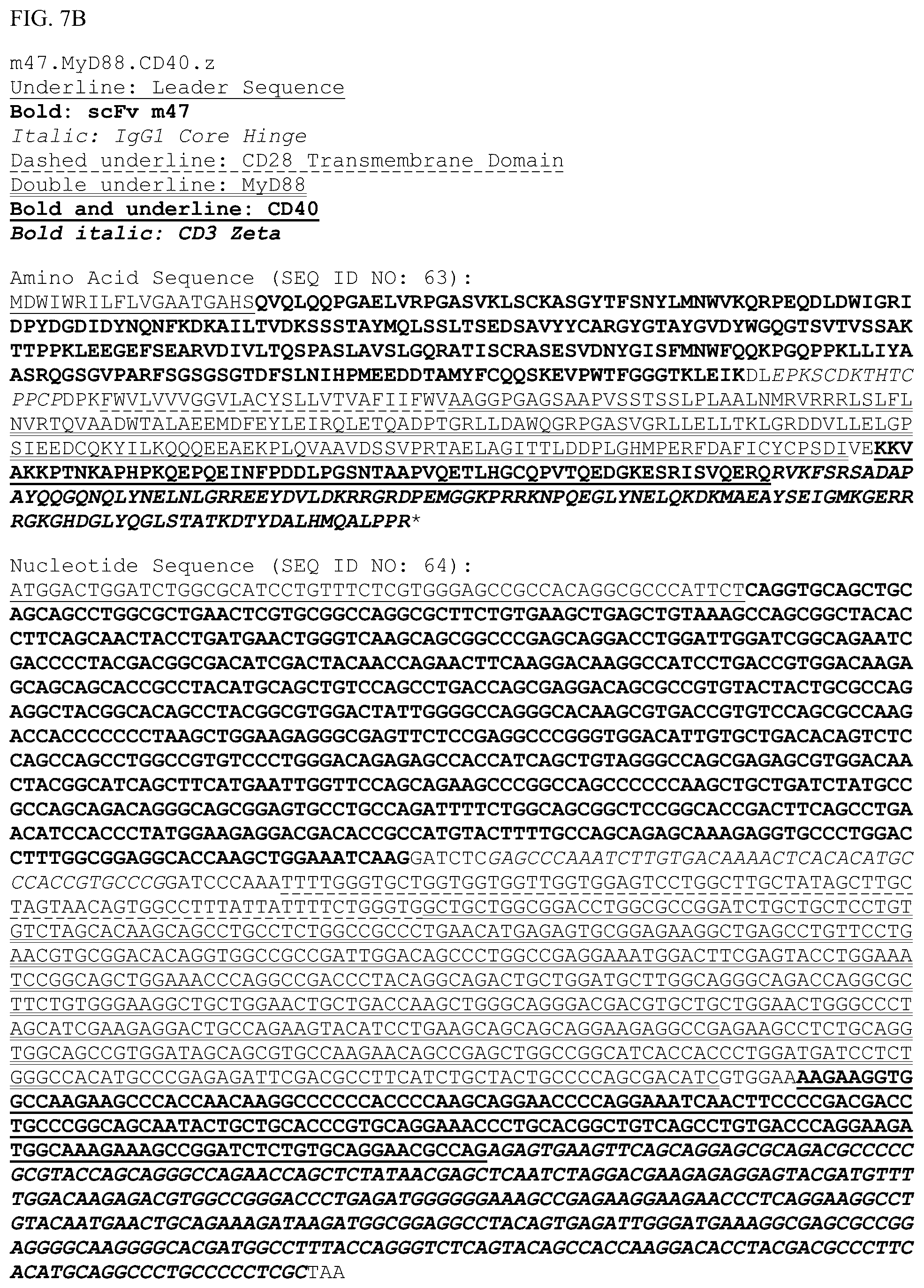 Patent US12448426 Figure 17 – Chimeric antigen receptors with MYD88 and CD40 costimulatory domains