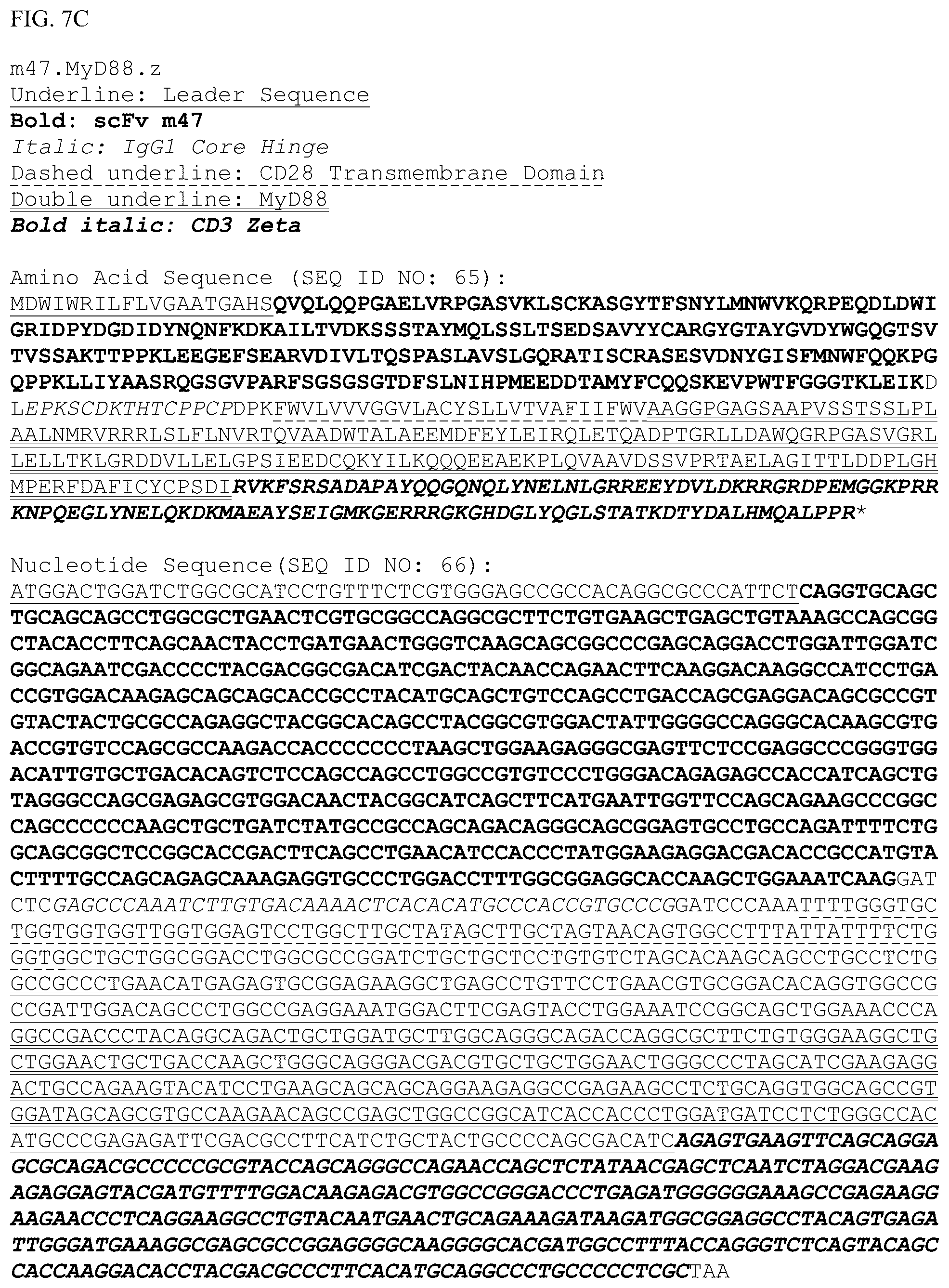 Patent US12448426 Figure 18 – Chimeric antigen receptors with MYD88 and CD40 costimulatory domains