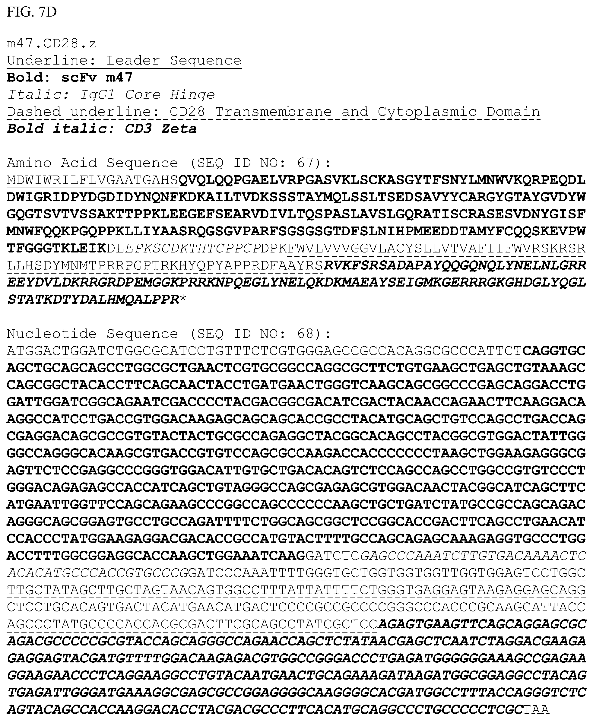 Patent US12448426 Figure 19 – Chimeric antigen receptors with MYD88 and CD40 costimulatory domains