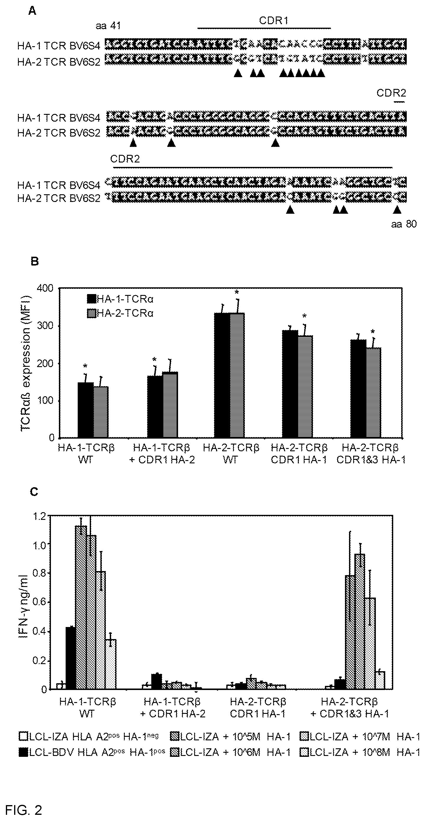Patent US12448427 Figure 2 – Binding proteins specific for HA-1 H and uses thereof