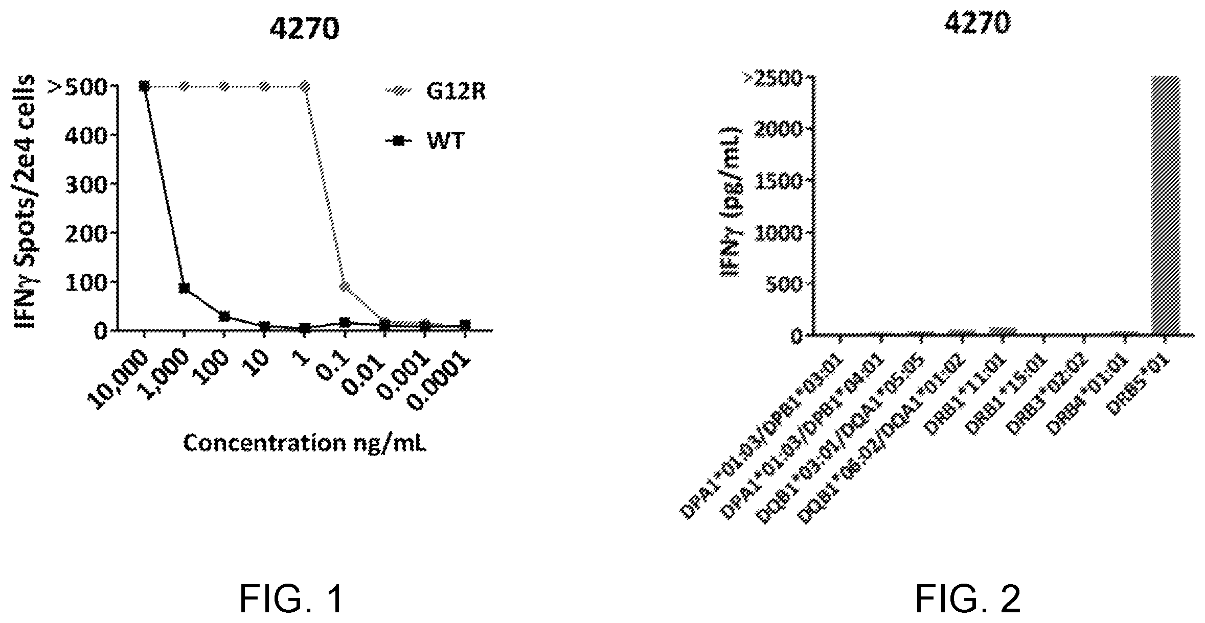 Patent US12448428 Figure 1 – HLA class II-restricted t cell receptors against RAS with G12R mutation