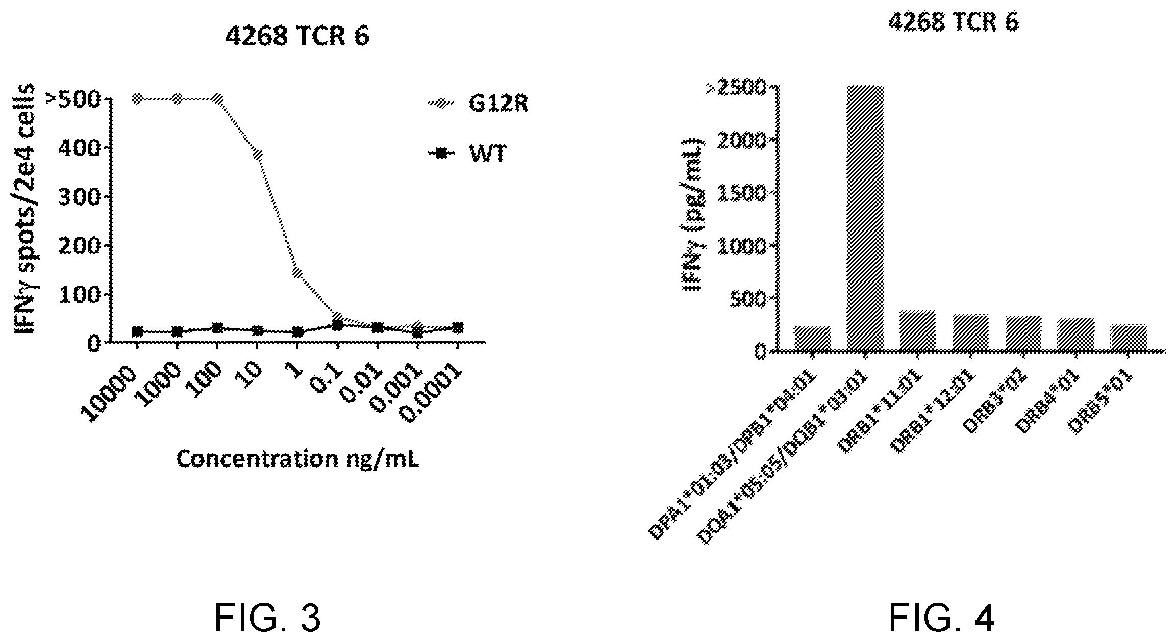 Patent US12448428 Figure 2 – HLA class II-restricted t cell receptors against RAS with G12R mutation