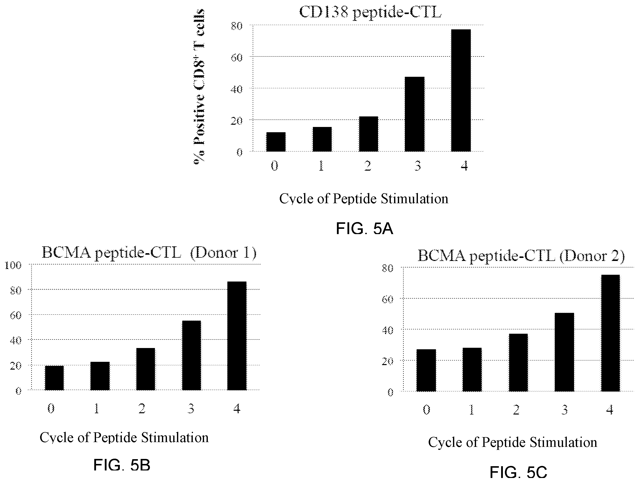 Patent US12448429 Figure 7 – T cell receptors specific to b-cell maturation antigen for treatment of cancer