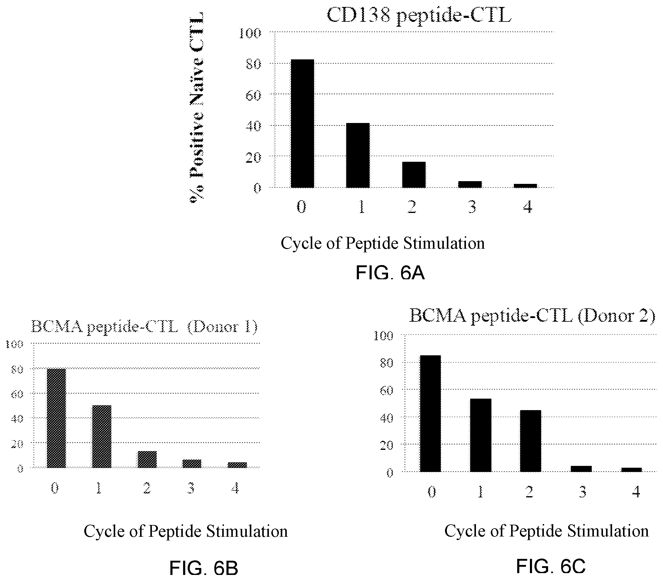 Patent US12448429 Figure 8 – T cell receptors specific to b-cell maturation antigen for treatment of cancer
