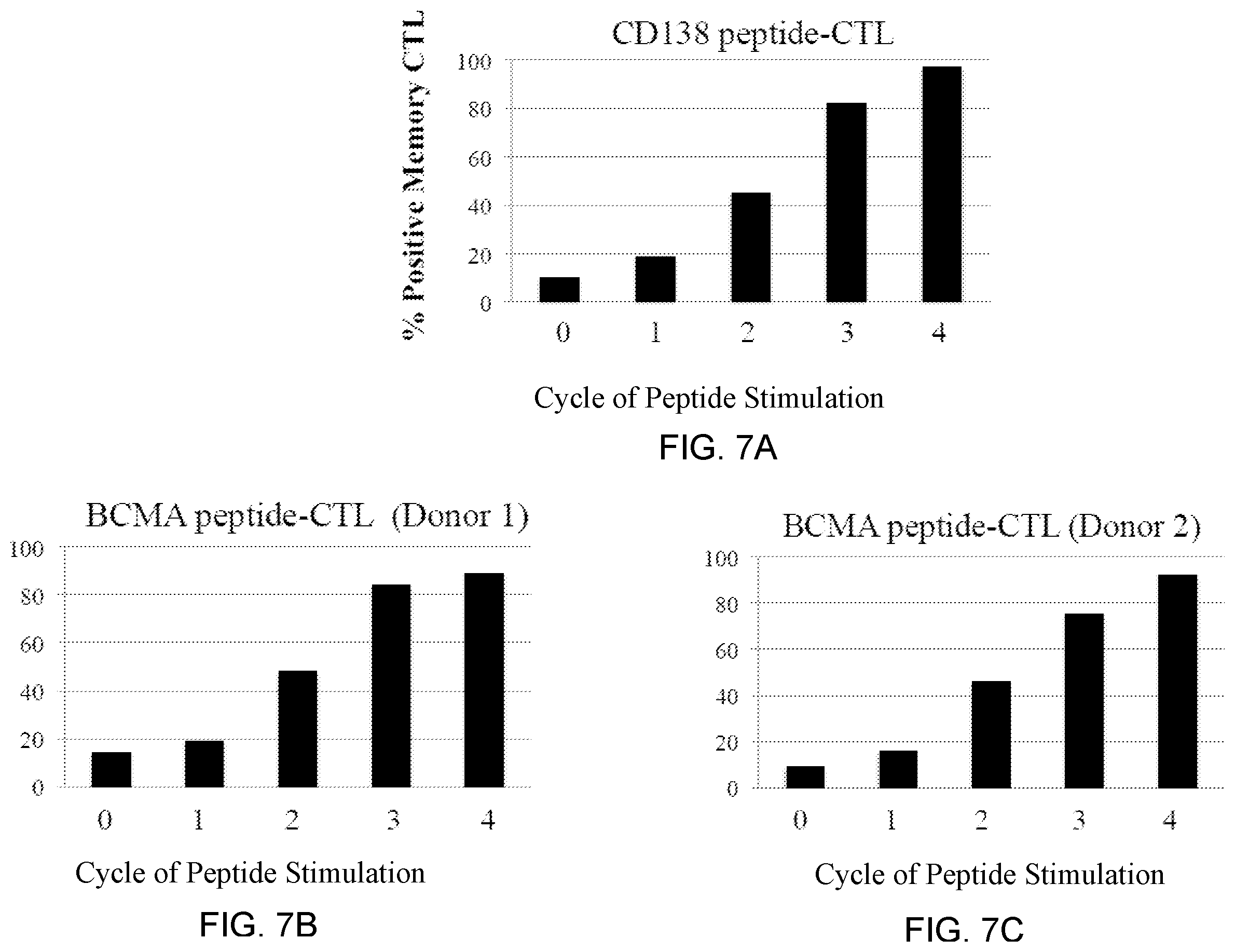 Patent US12448429 Figure 9 – T cell receptors specific to b-cell maturation antigen for treatment of cancer