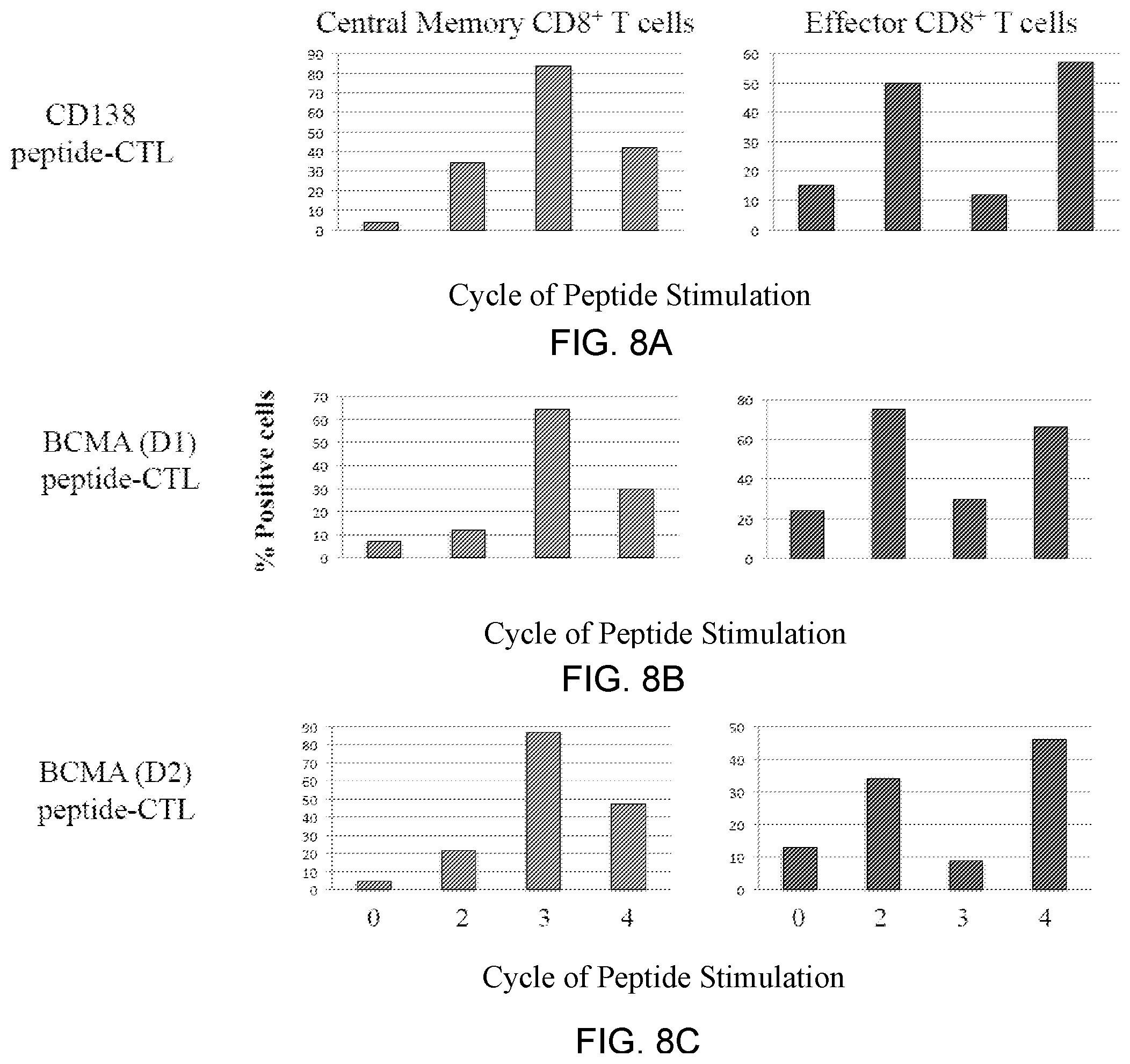 Patent US12448429 Figure 10 – T cell receptors specific to b-cell maturation antigen for treatment of cancer