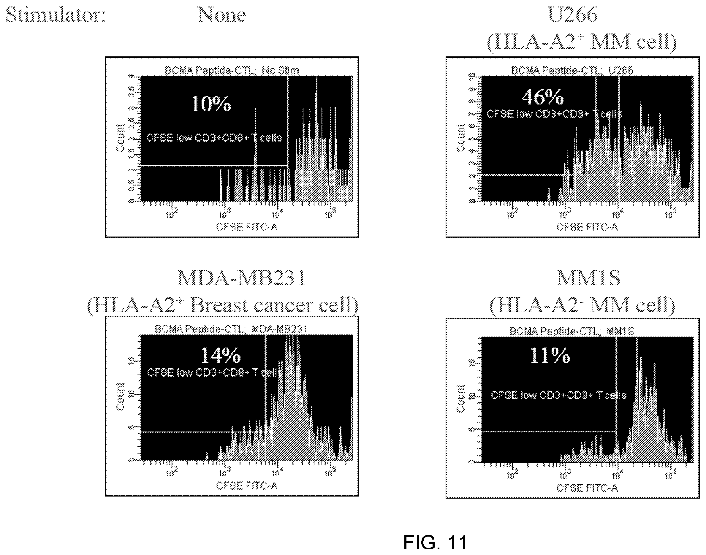 Patent US12448429 Figure 13 – T cell receptors specific to b-cell maturation antigen for treatment of cancer