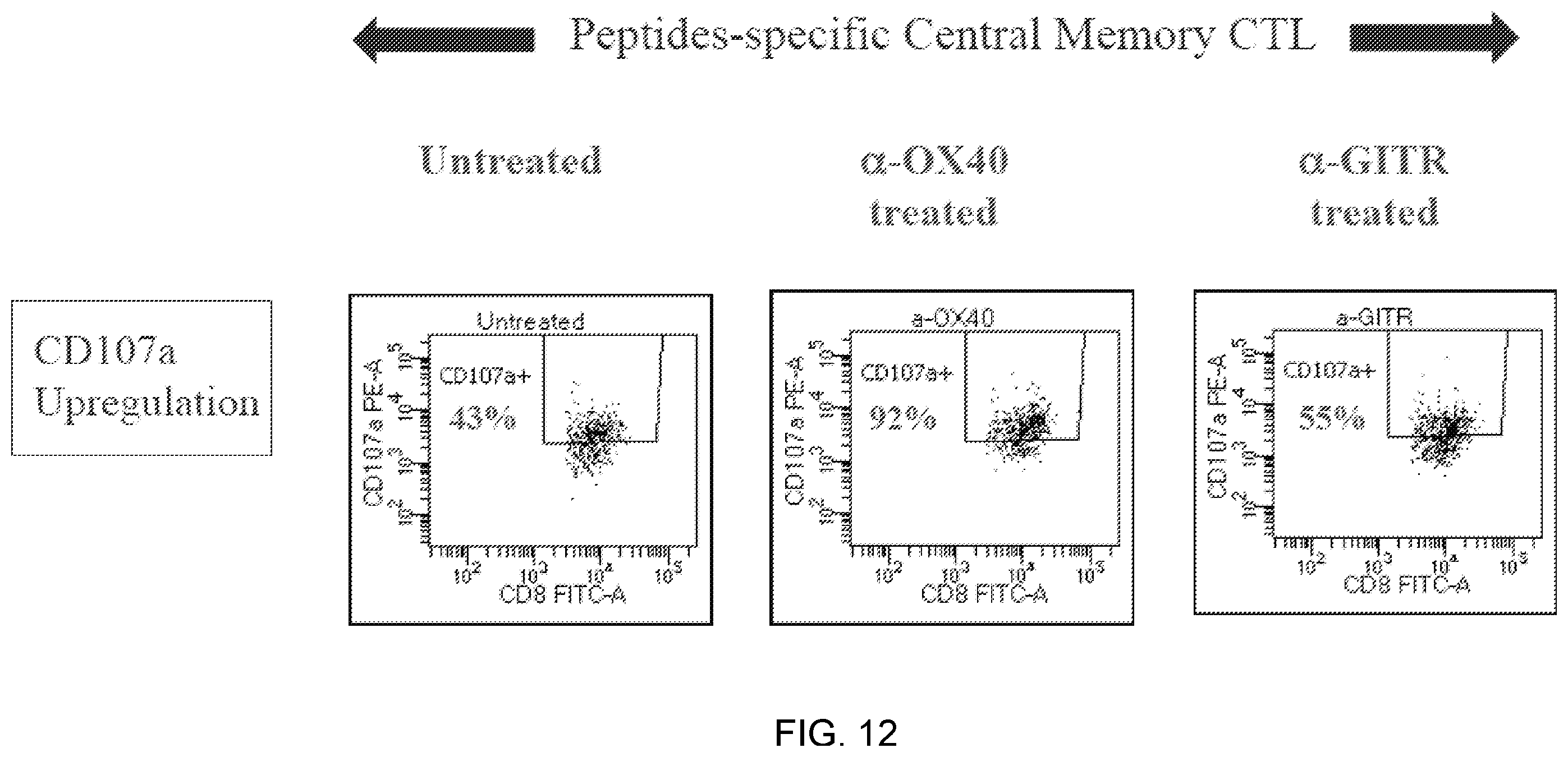 Patent US12448429 Figure 14 – T cell receptors specific to b-cell maturation antigen for treatment of cancer