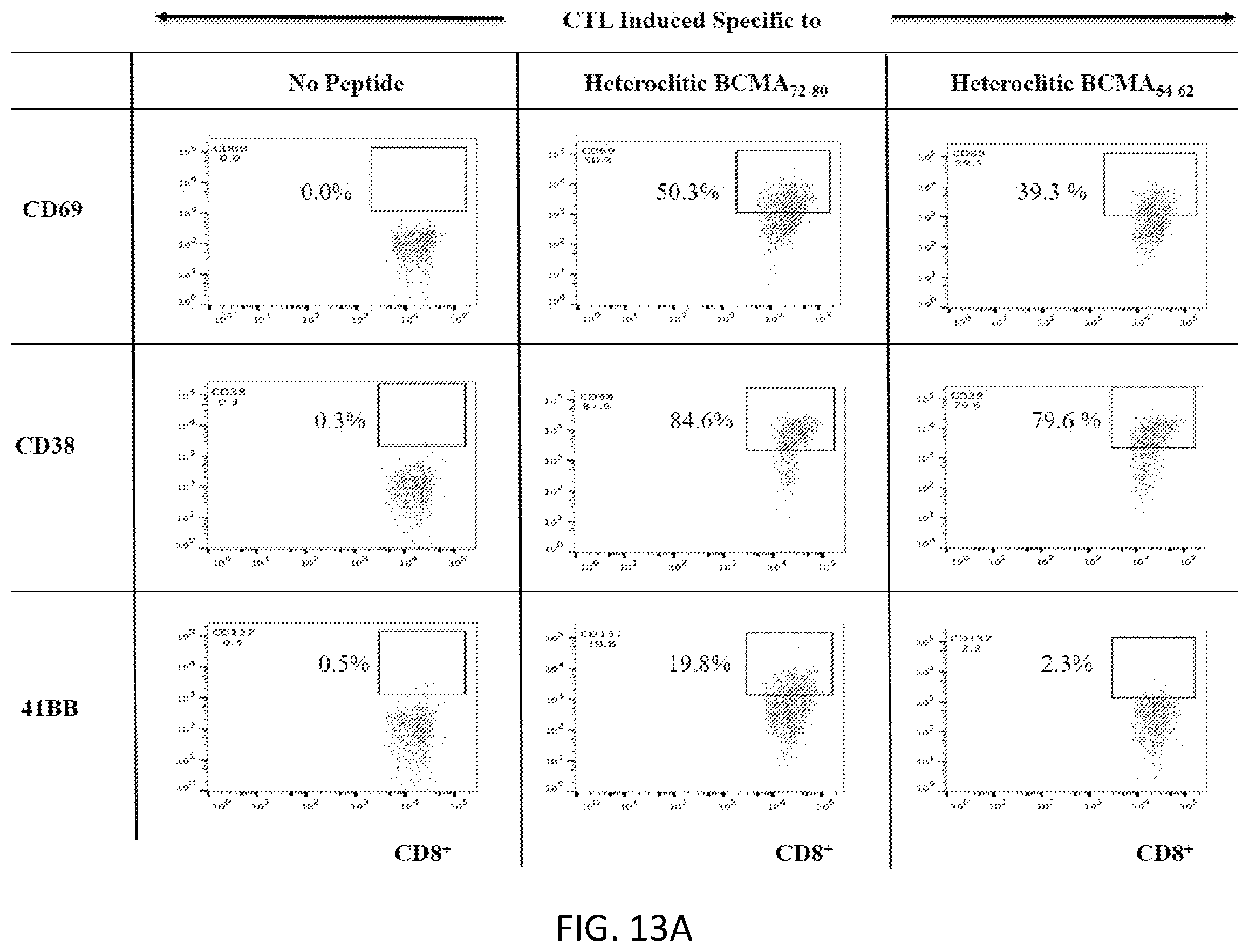 Patent US12448429 Figure 15 – T cell receptors specific to b-cell maturation antigen for treatment of cancer