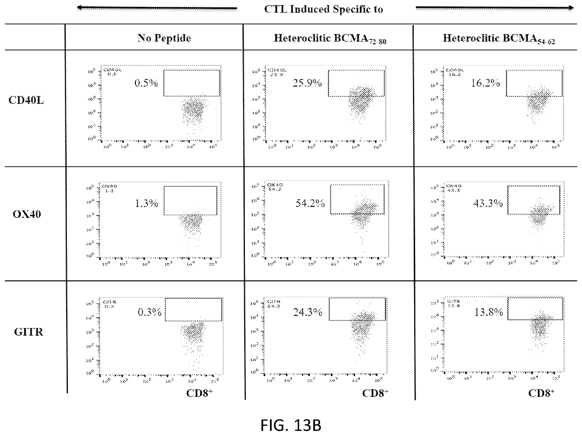 Patent US12448429 Figure 16 – T cell receptors specific to b-cell maturation antigen for treatment of cancer